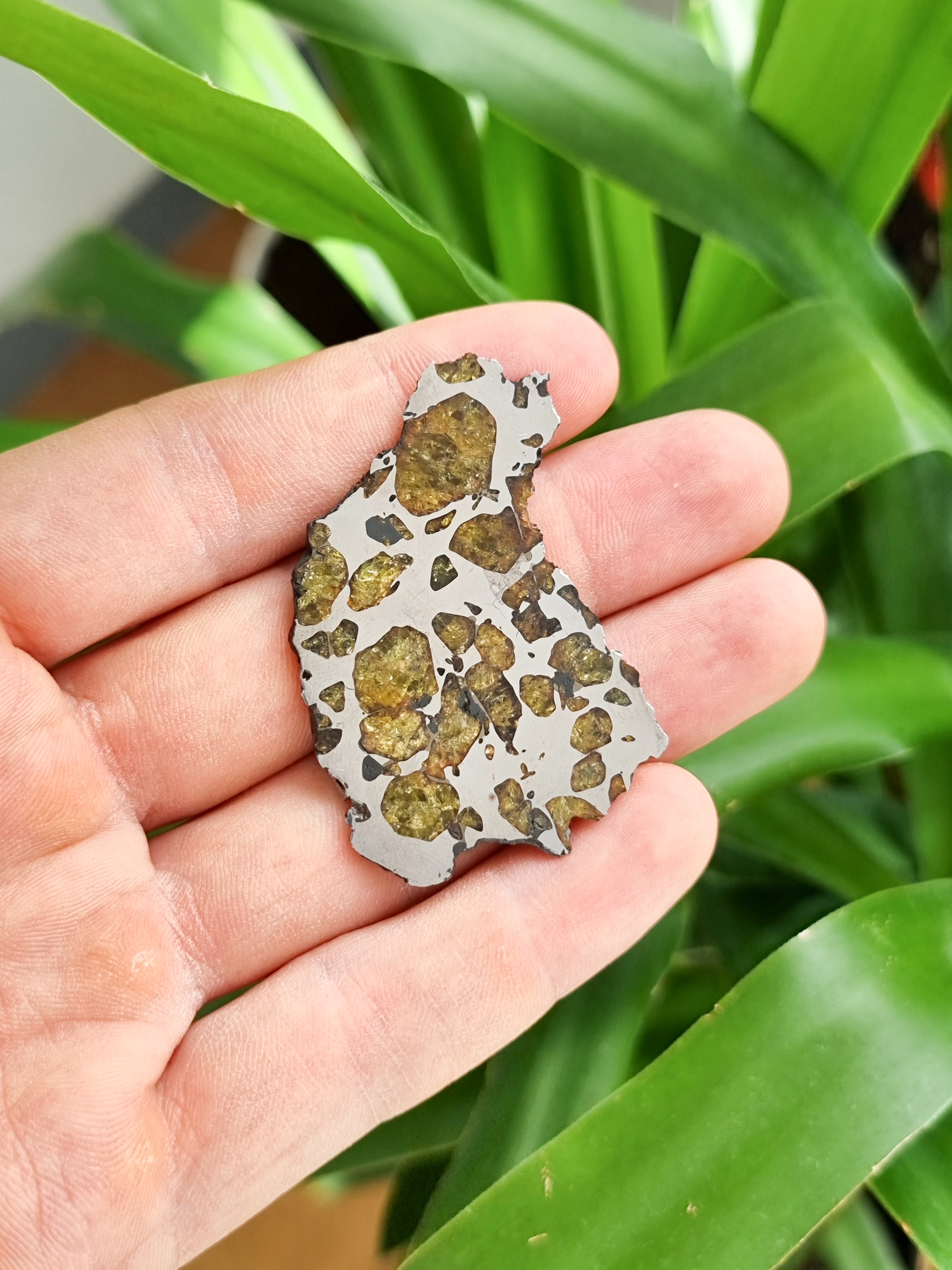 Imilac Pallasite meteorite, Chile. 15.54g