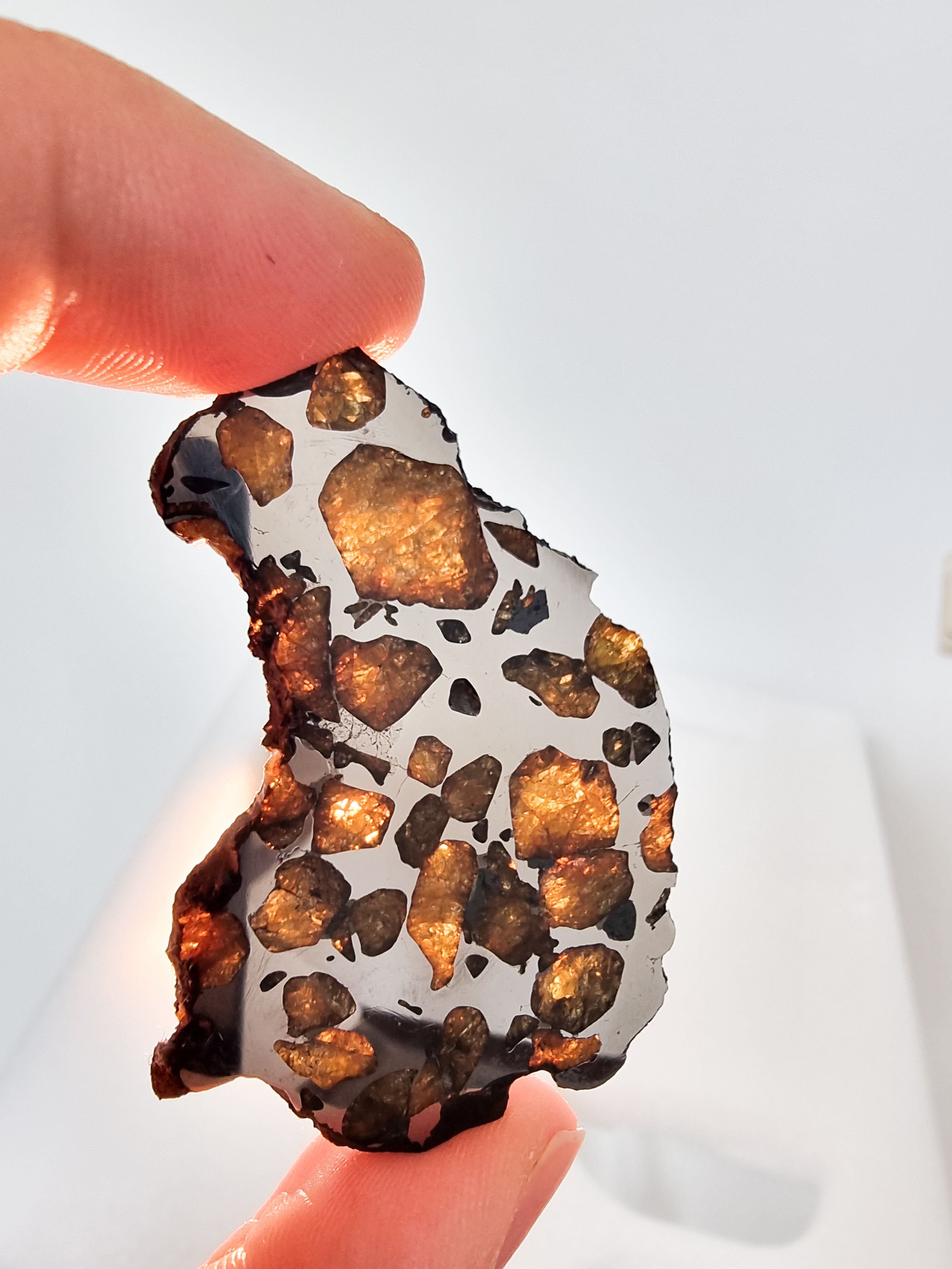 Imilac Pallasite meteorite, Chile. 15,81g
