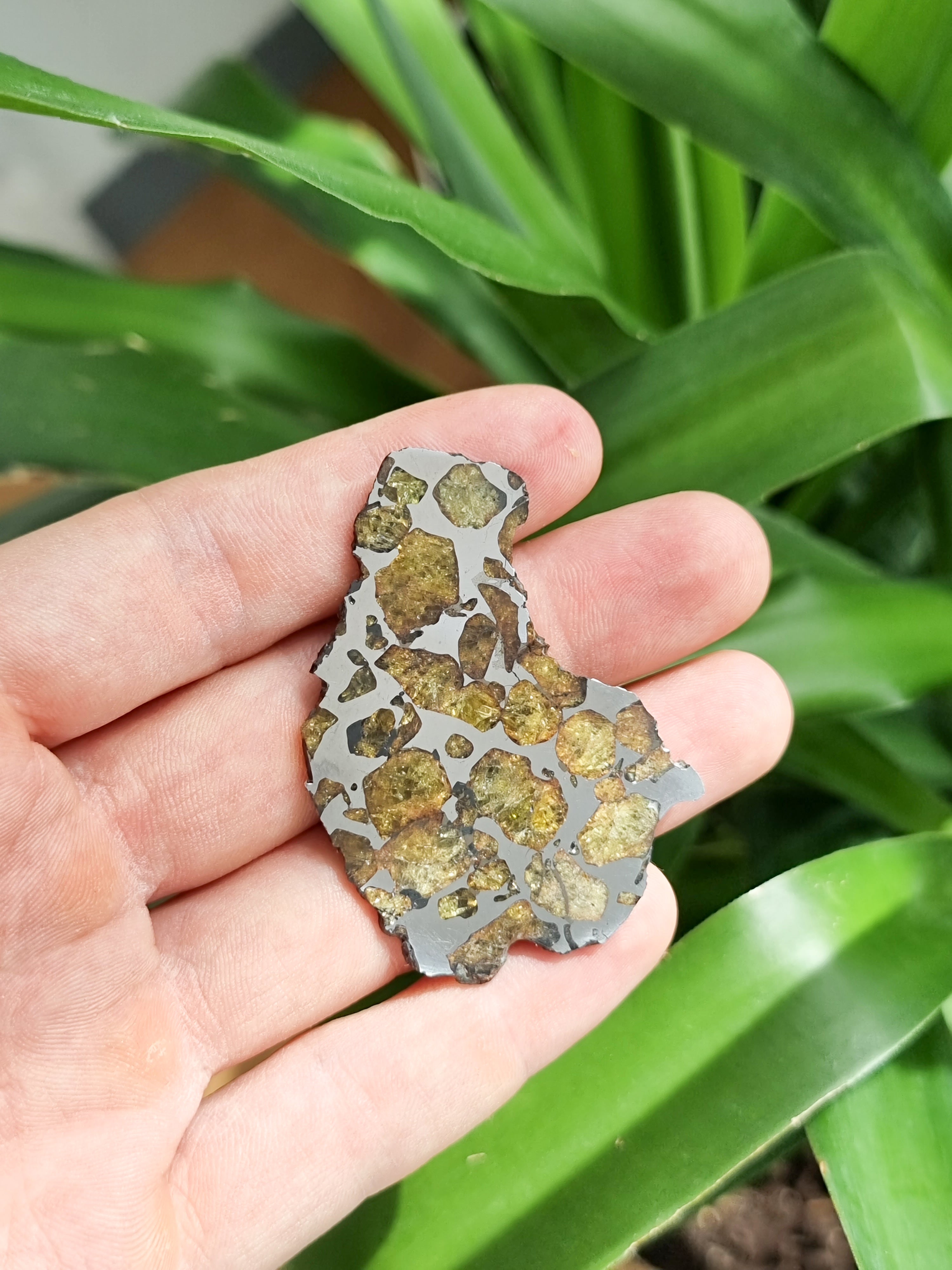 Imilac Pallasite meteorite, Chile. 15,81g