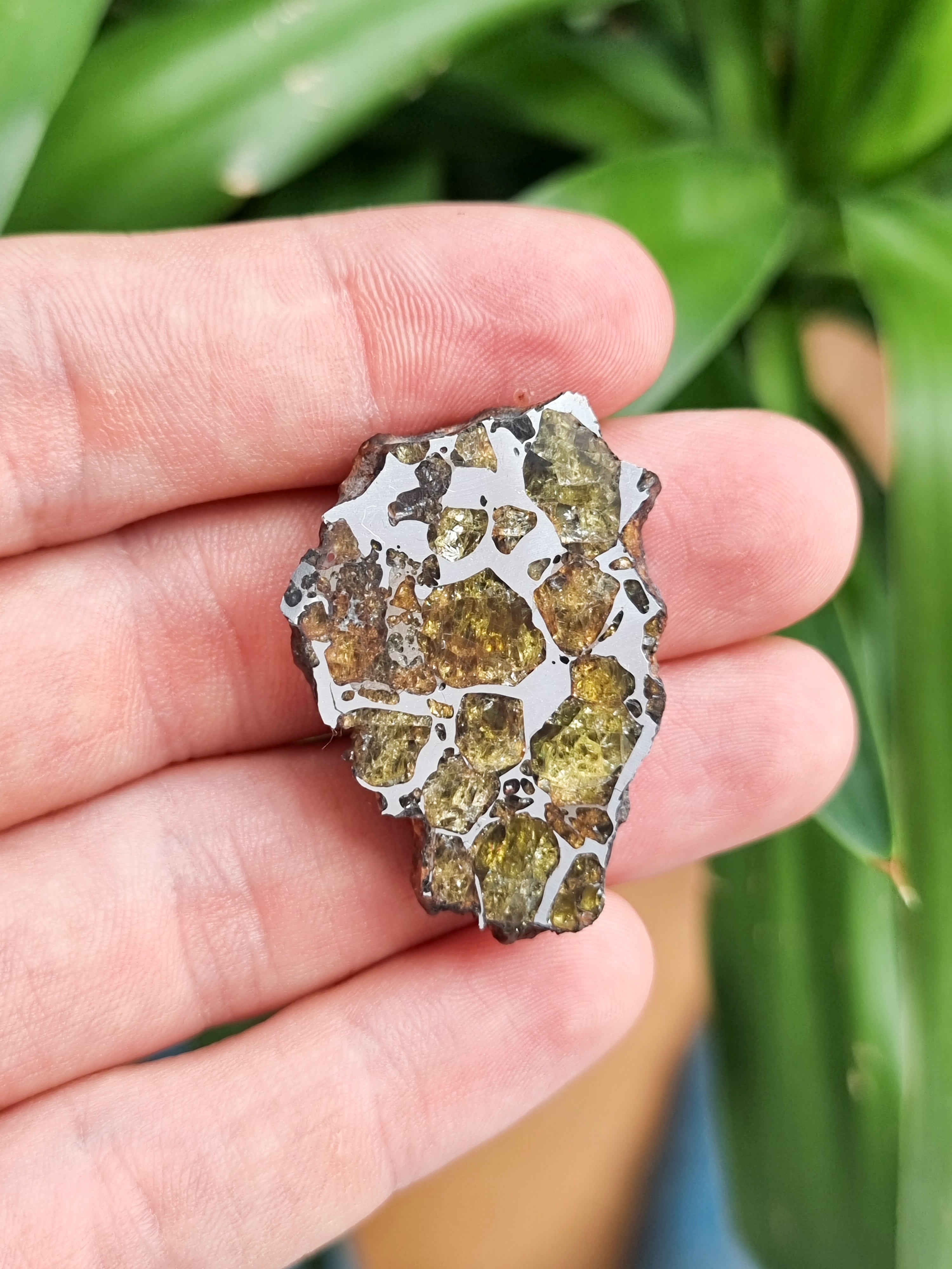 Imilac Pallasite meteorite, Chile. Endcut 16.55g