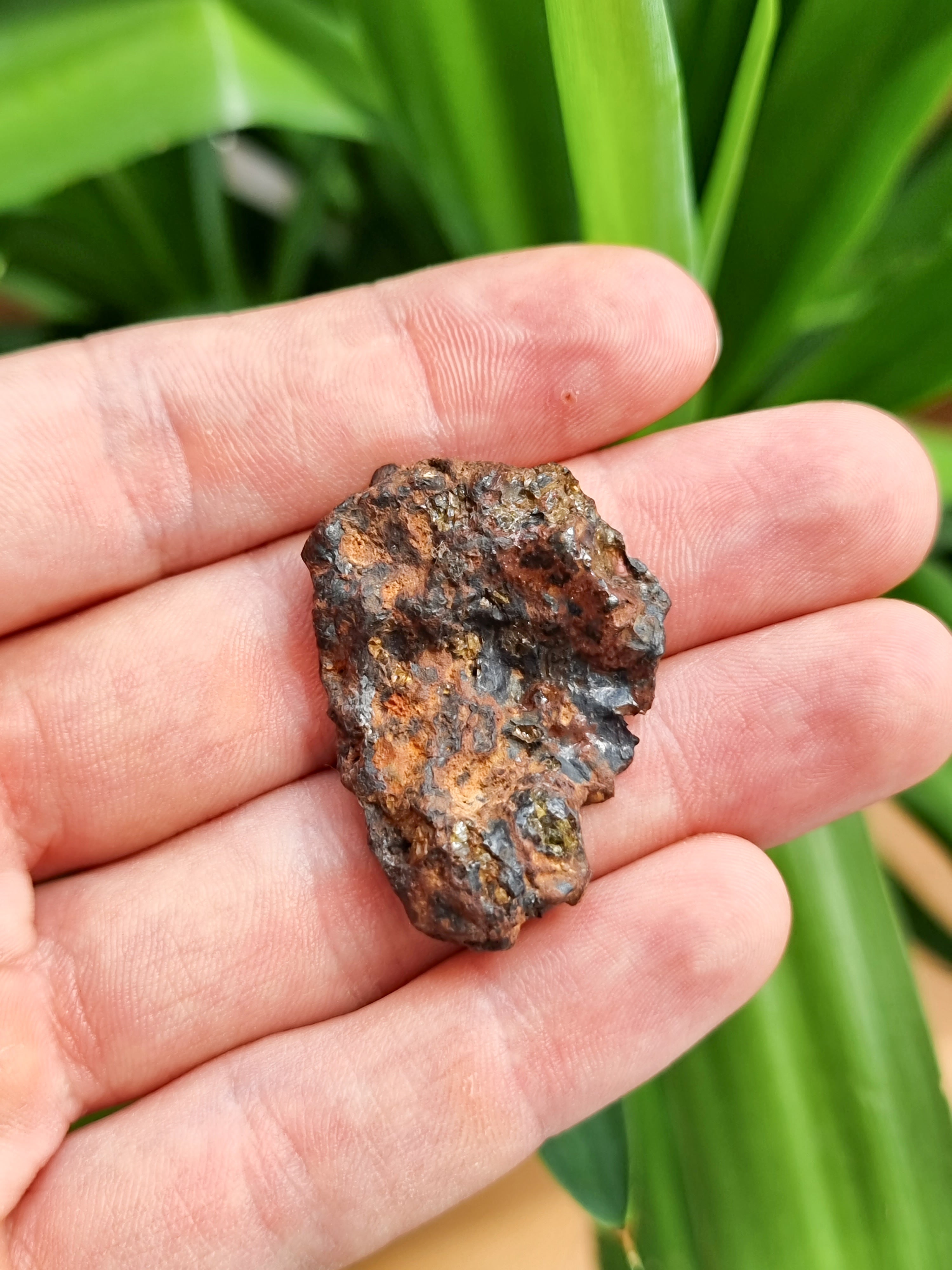 Imilac Pallasite meteorite, Chile. Endcut 16.55g