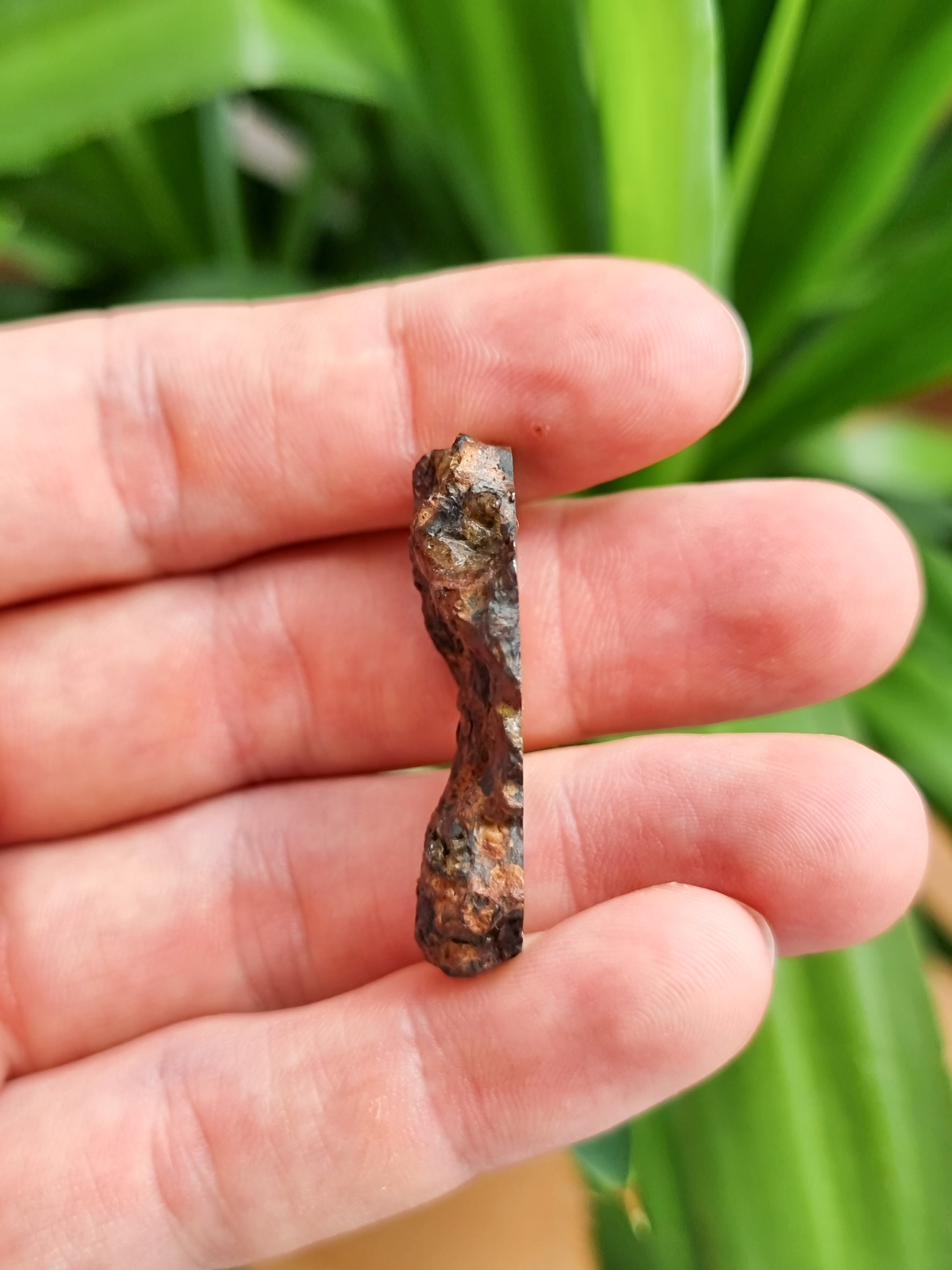 Imilac Pallasite meteorite, Chile. Endcut 16.55g