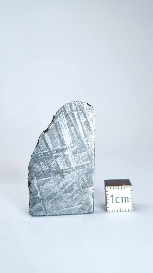 Muonionalusta meteorite, Sweden. 33.53g slice.