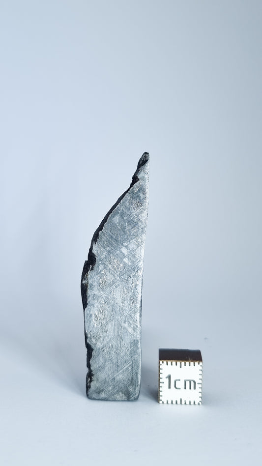 Muonionalusta meteorite, Sweden. 15.79g Slice