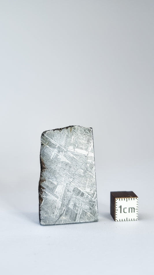 Muonionalusta meteorite, Sweden. Slice 41.47g