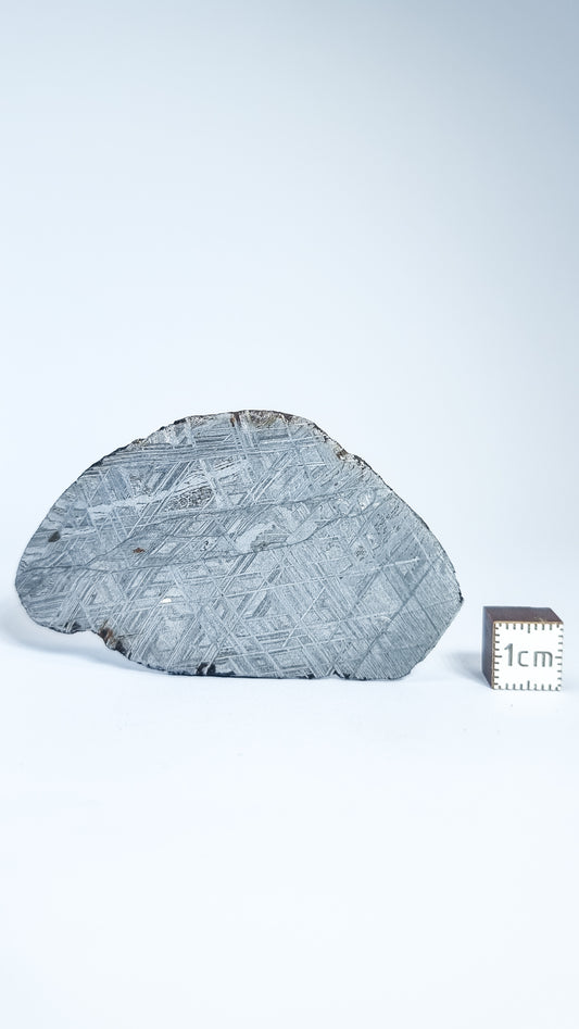 Muonionalusta meteorite, Sweden. Slice 33.41g
