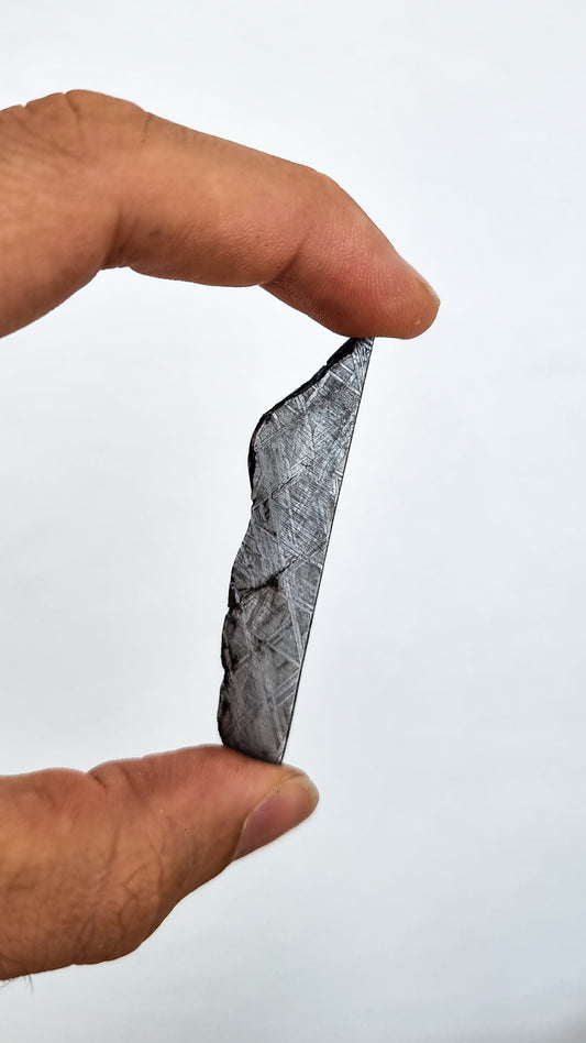 Muonionalusta meteorite, Sweden, 17.46g slice.