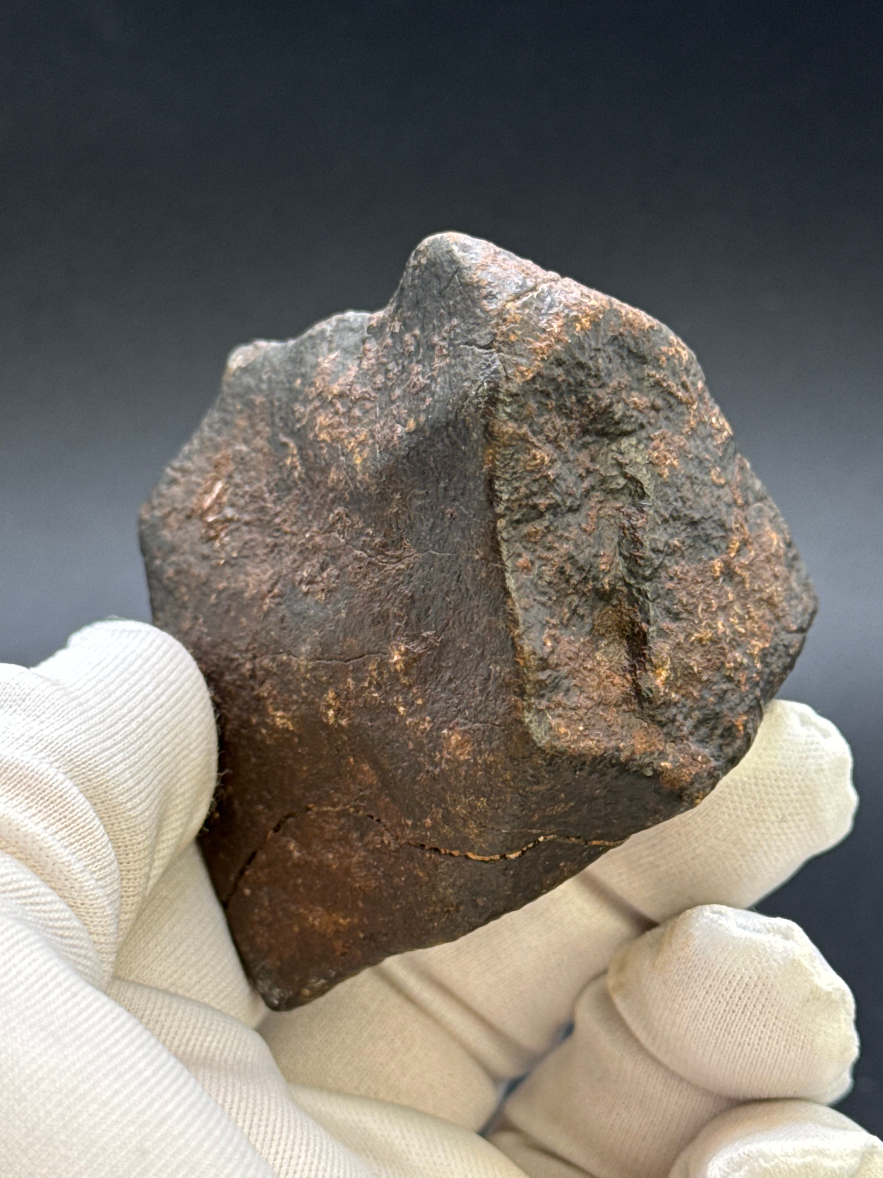 CHONDRITE METEORITE, NORTH WEST AFRICA. 263 GRAMS.