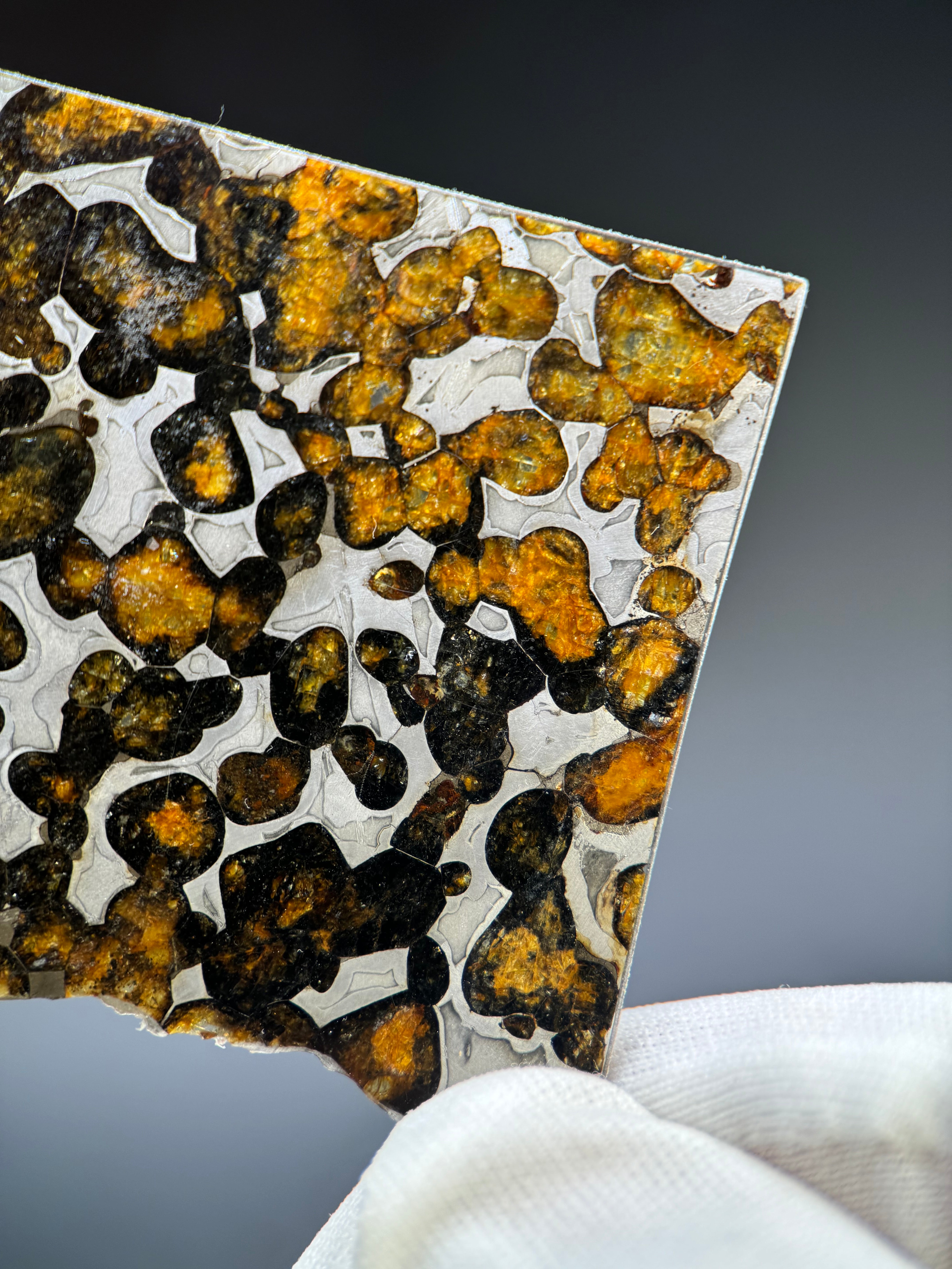 SERICHO METEORITE, KENYA. 20,8 GRAMS SLICE