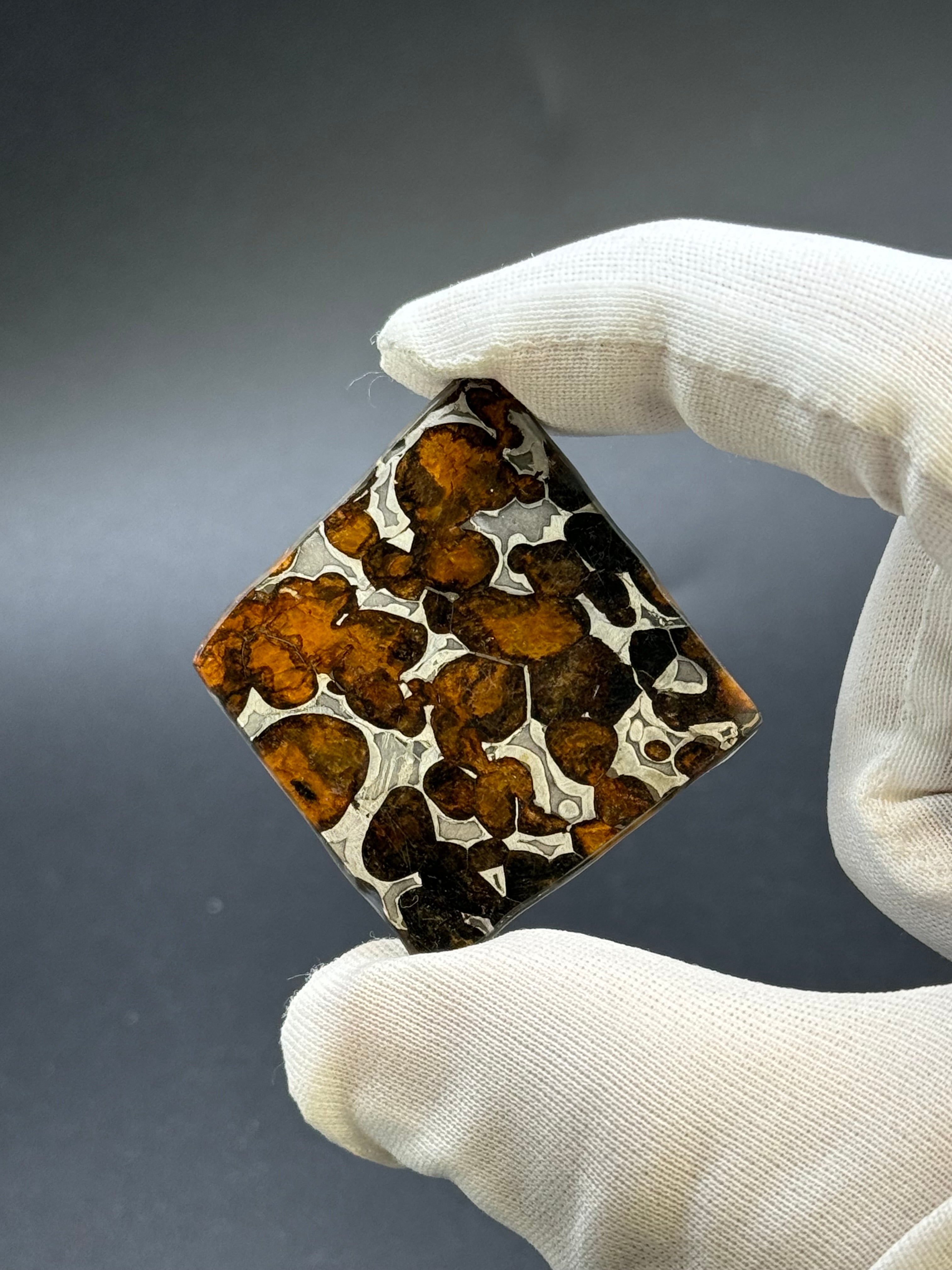 SERICHO METEORITE, KENYA. 9,38 GRAMS SLICE