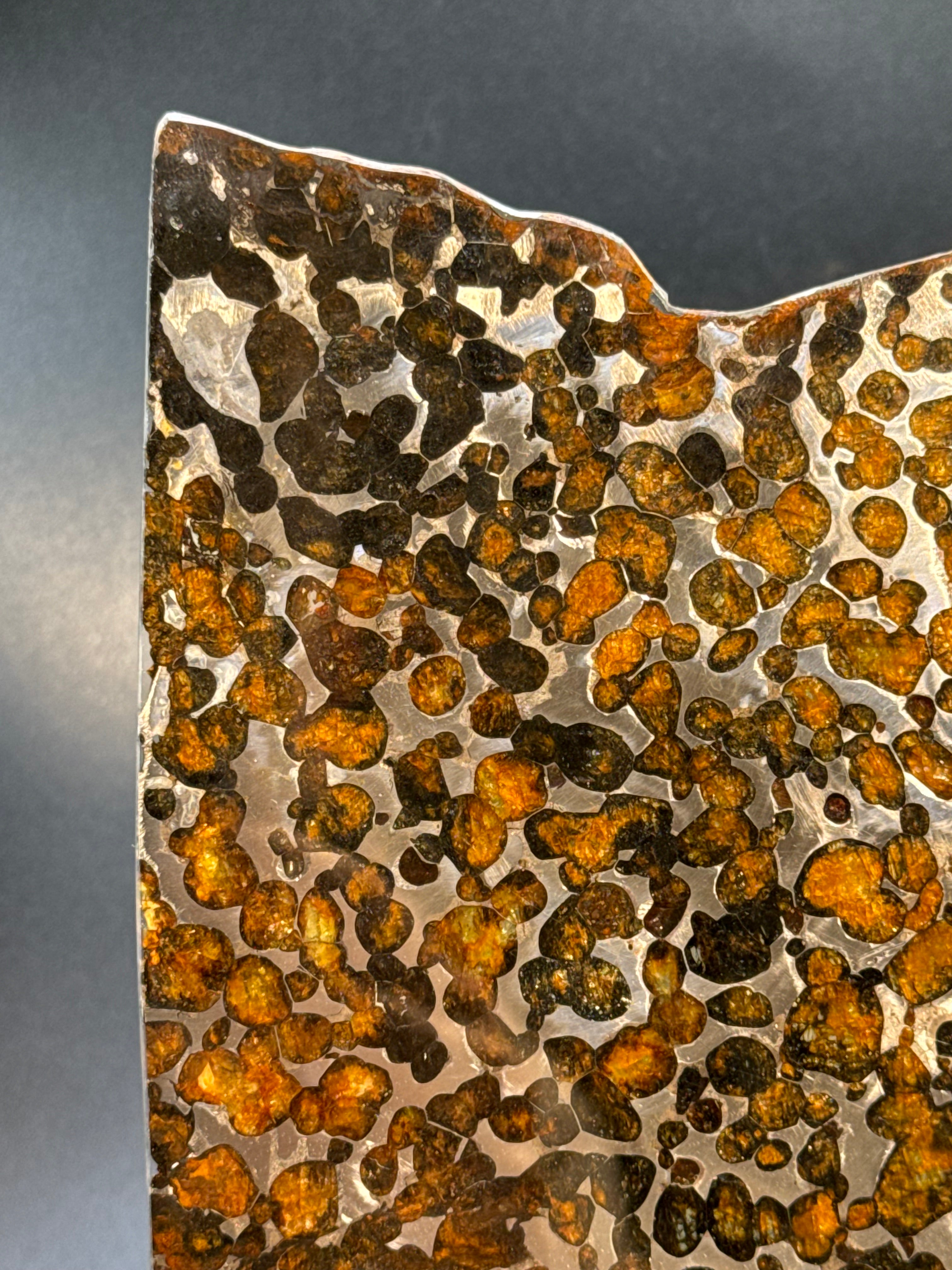 SERICHO METEORITE, KENYA. 116 GRAMS SLICE