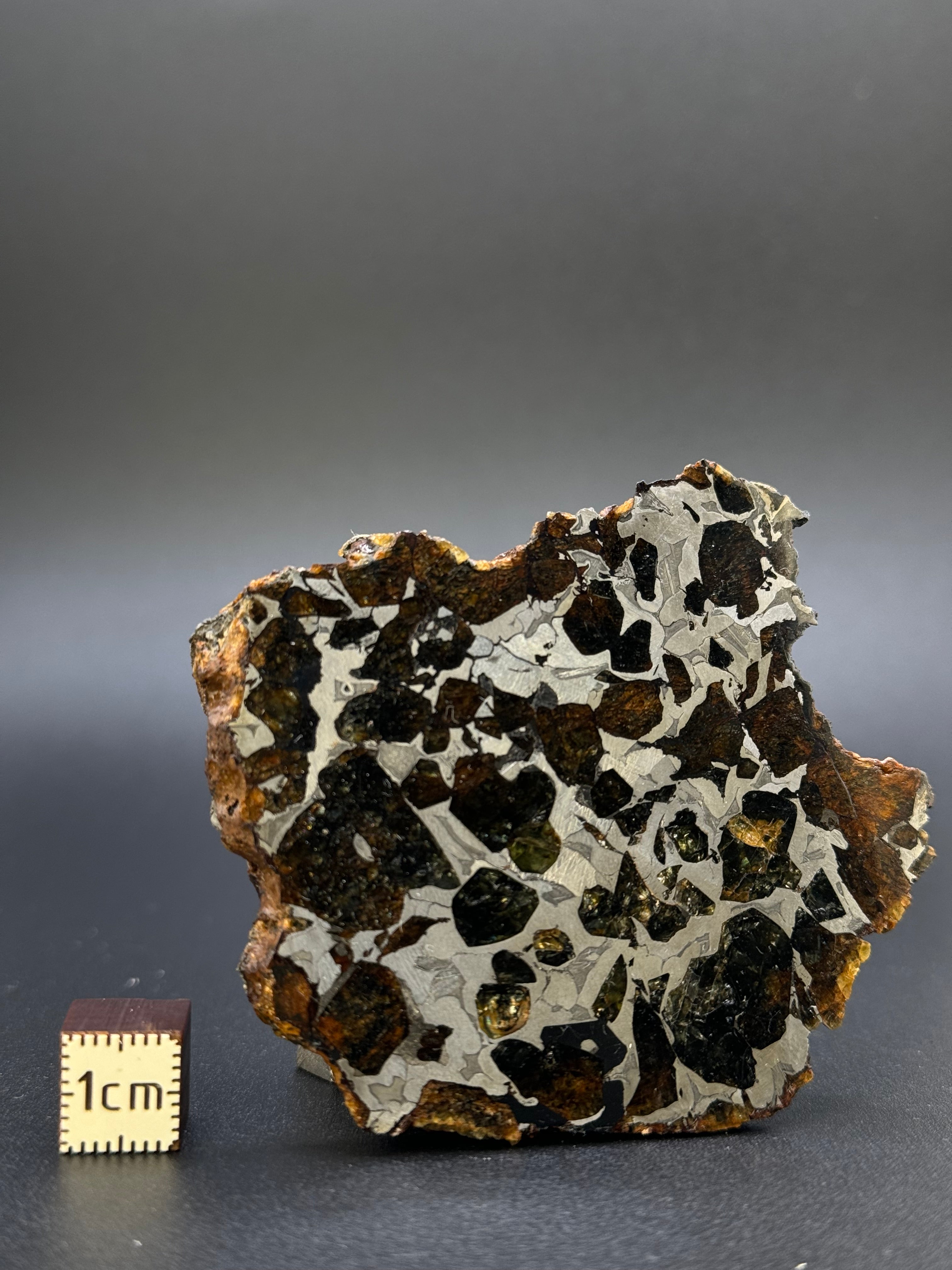 SEYMCHAN METEORITE, MAGADAN REGION, RUSSIA. 96 GRAMS END-CUT.