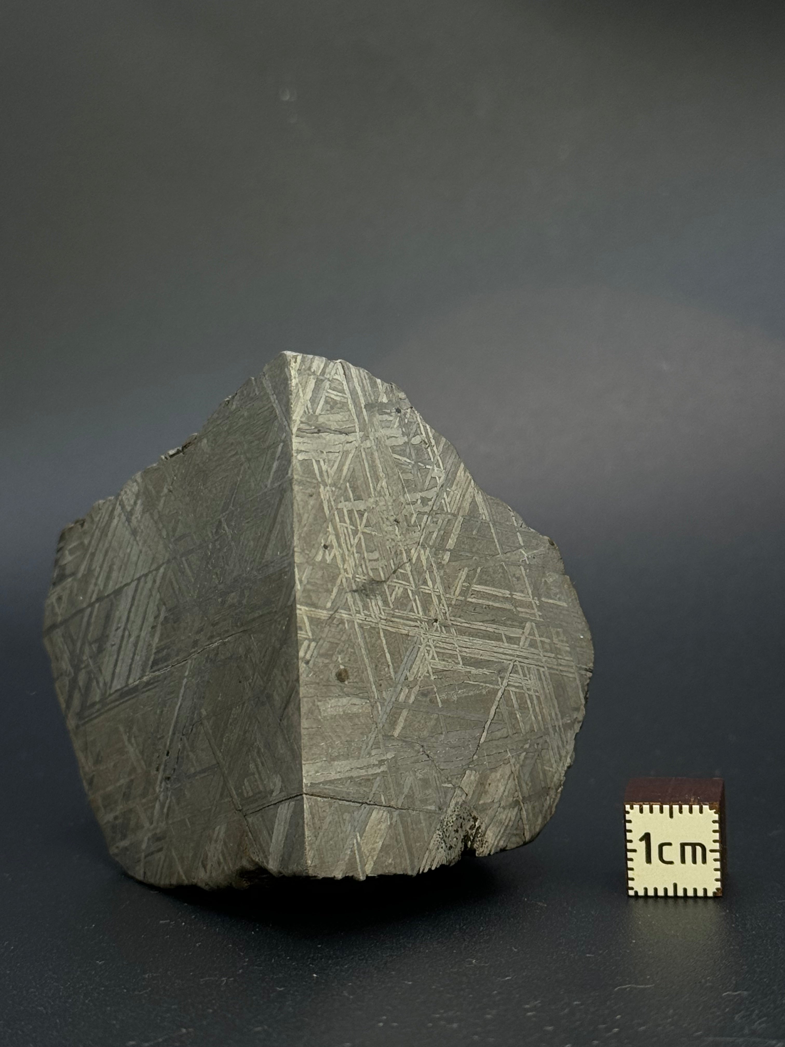 MUONIONALUSTA METEORITE, SWEDEN. 487 GRAMS END-CUT.