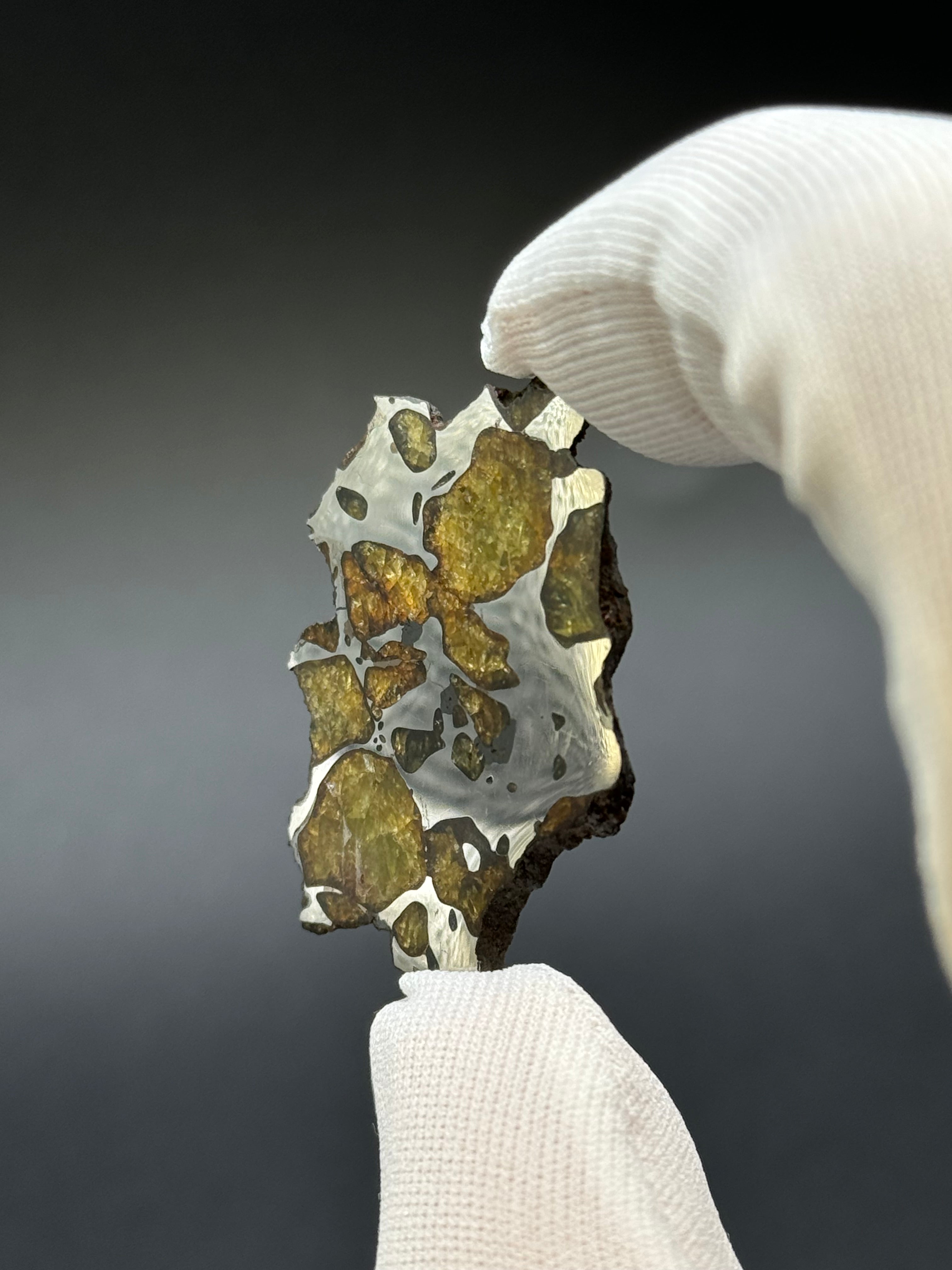 IMILAC PALLASITE METEORITE, CHILE. 7,38 GRAMS