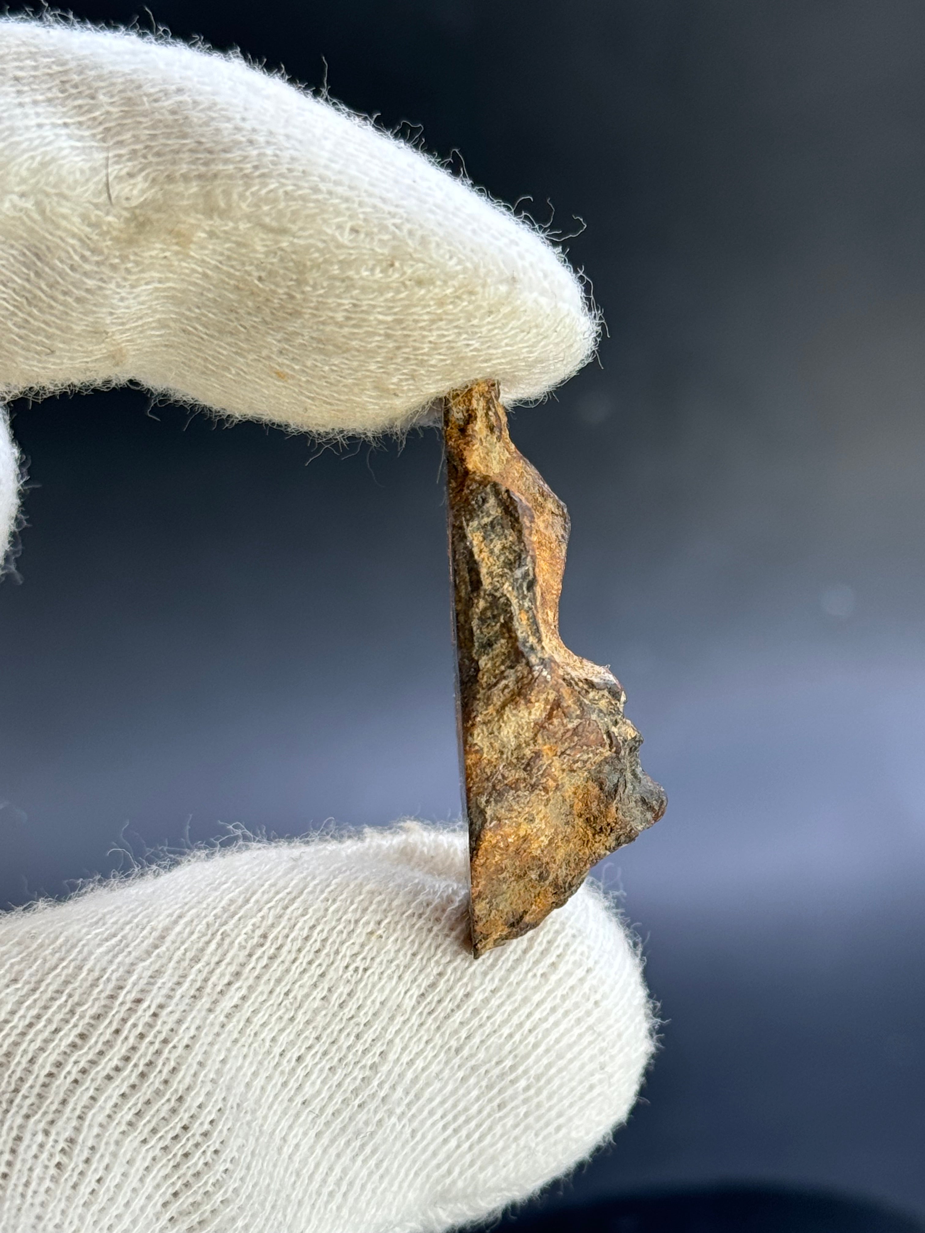 SERICHO PALLASITE METEORITE, KENYA. 13,63 GRAMS END-CUT.