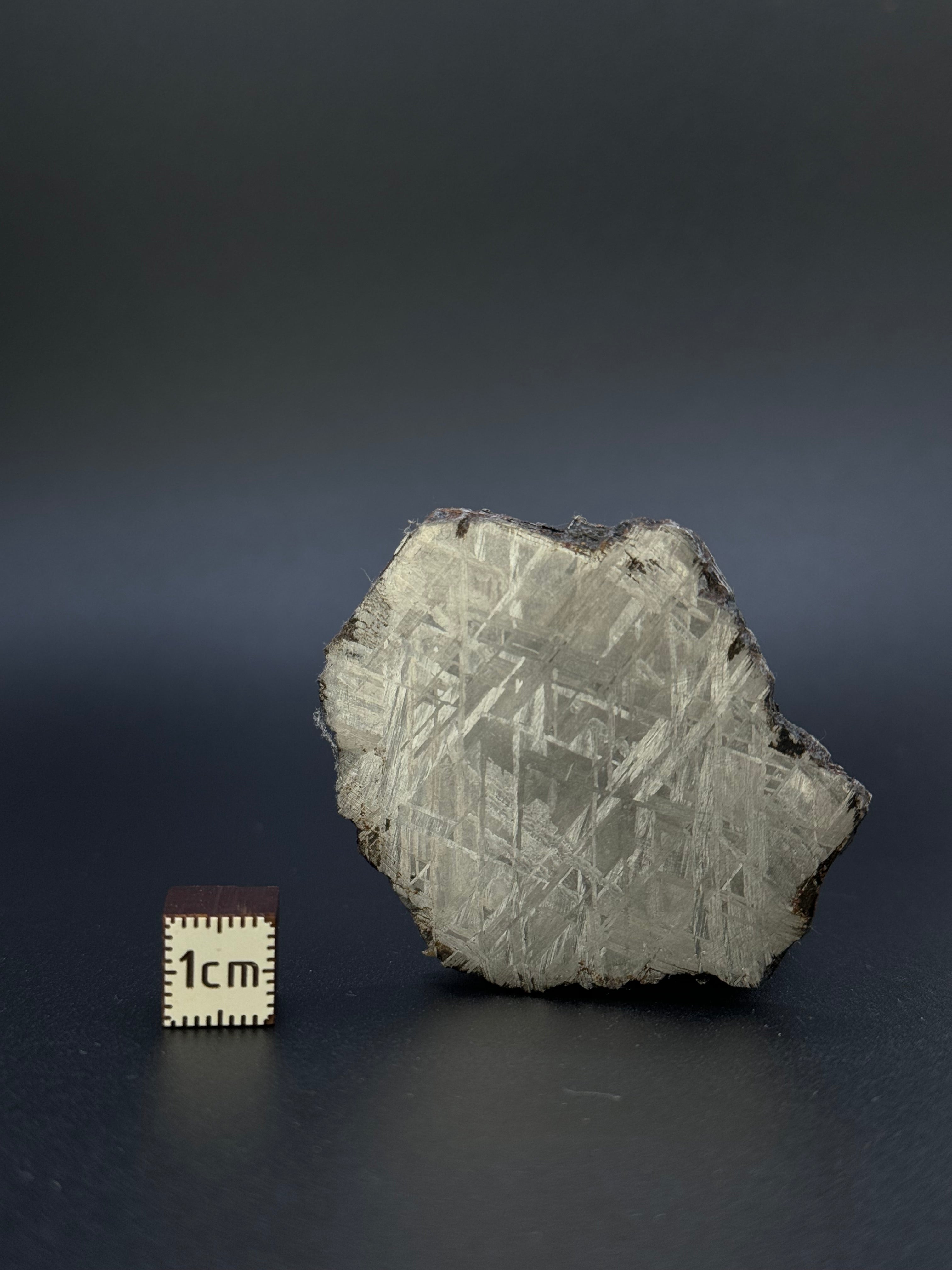 MUONIONALUSTA METEORITE, SWEDEN. 46,38 GRAMS.