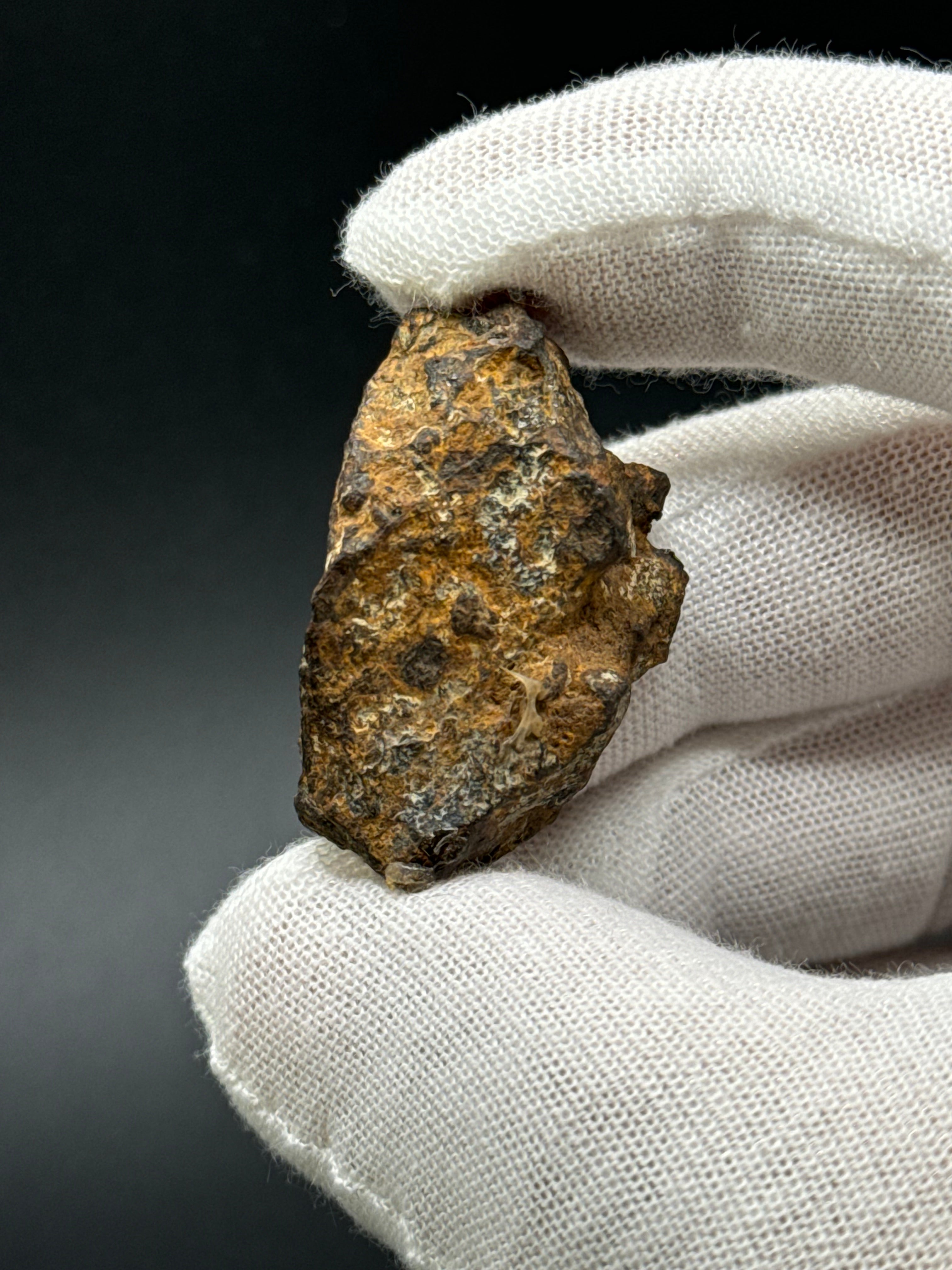 SERICHO PALLASITE METEORITE, KENYA. 31,69 GRAMS END-CUT.