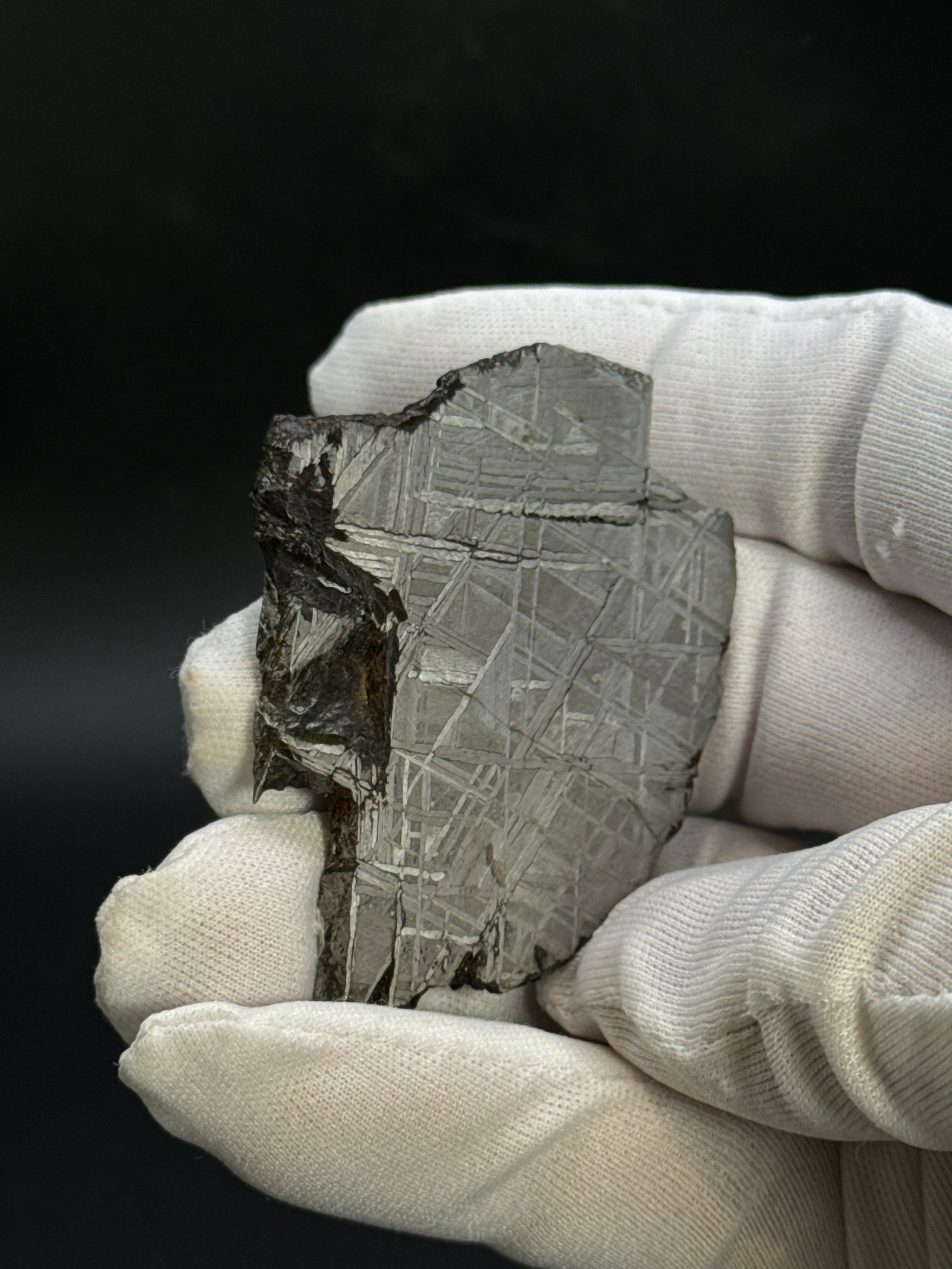 MUONIONALUSTA METEORITE, SWEDEN. 44,09 GRAMS.