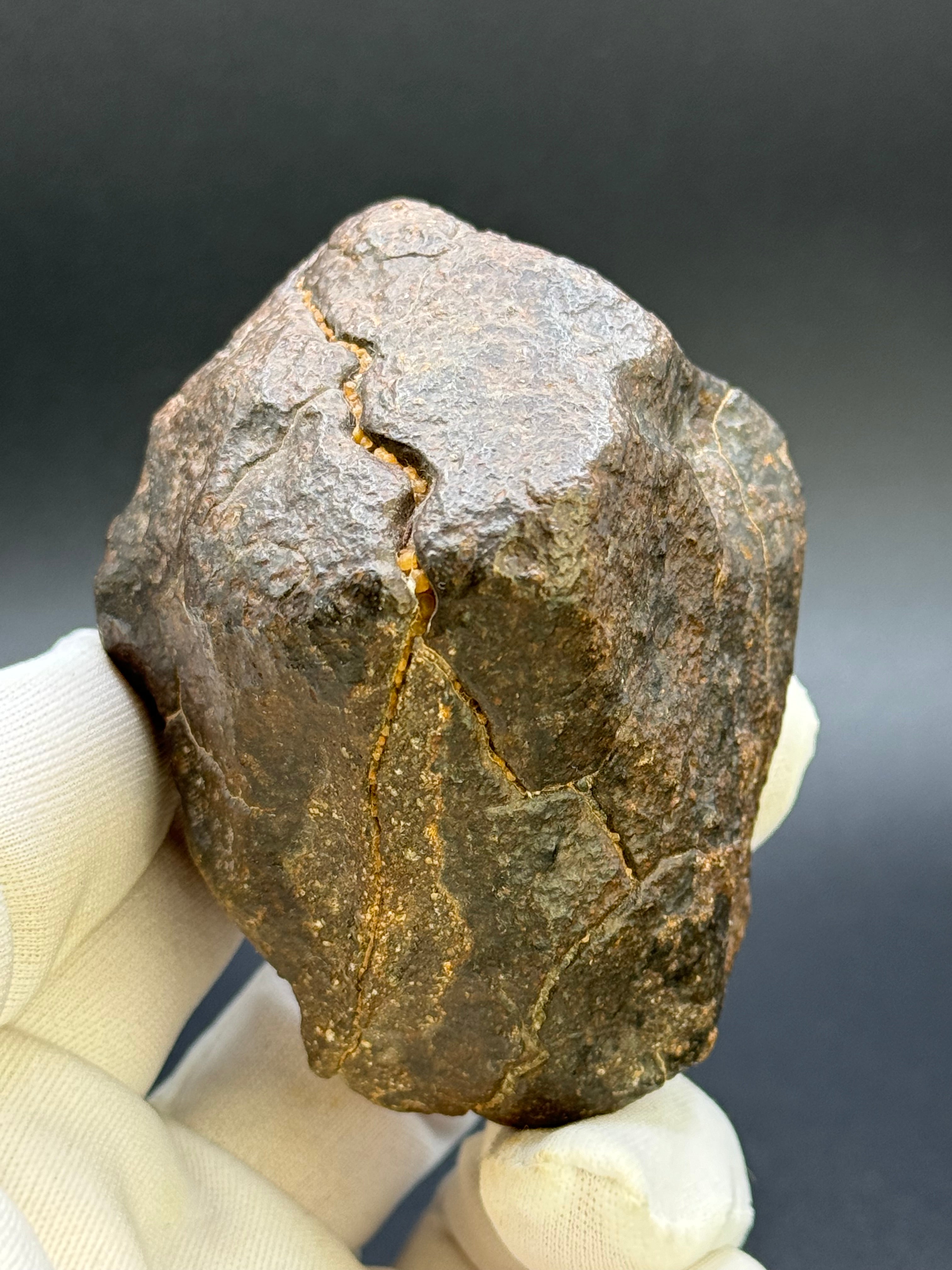 CHONDRITE METEORITE, NORTH WEST AFRICA. 368 GRAMS.