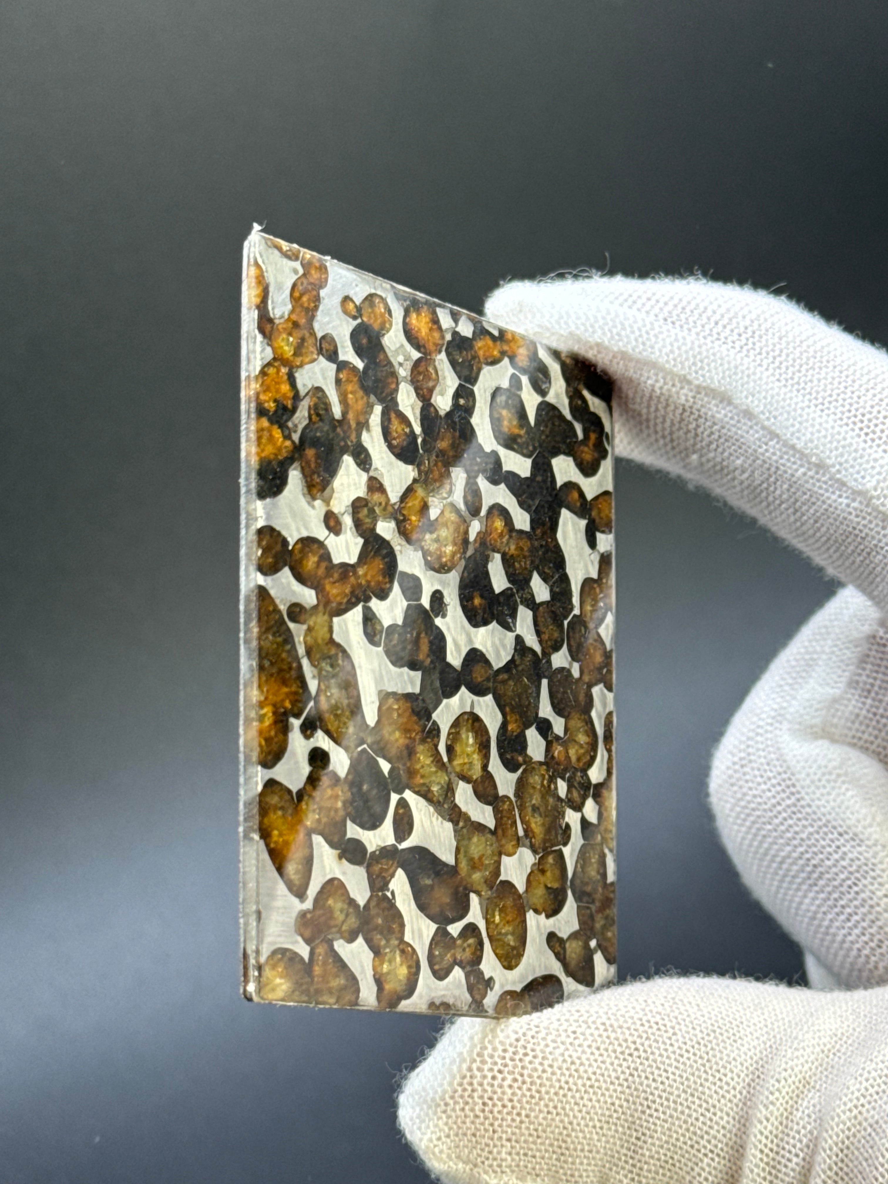SERICHO METEORITE, KENYA. 26,10 GRAMS.