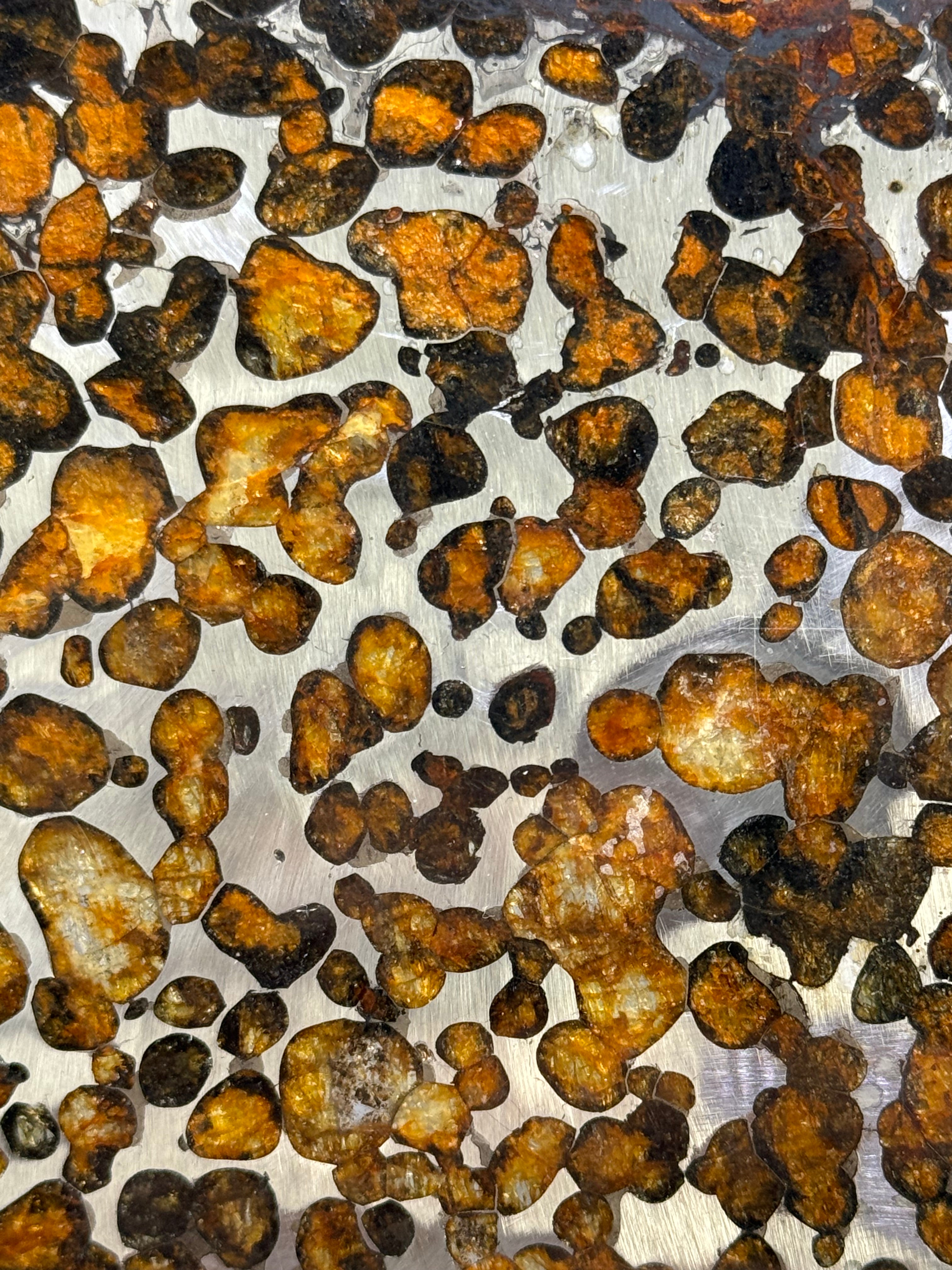SERICHO METEORITE, KENYA. 62,07 GRAMS SLICE