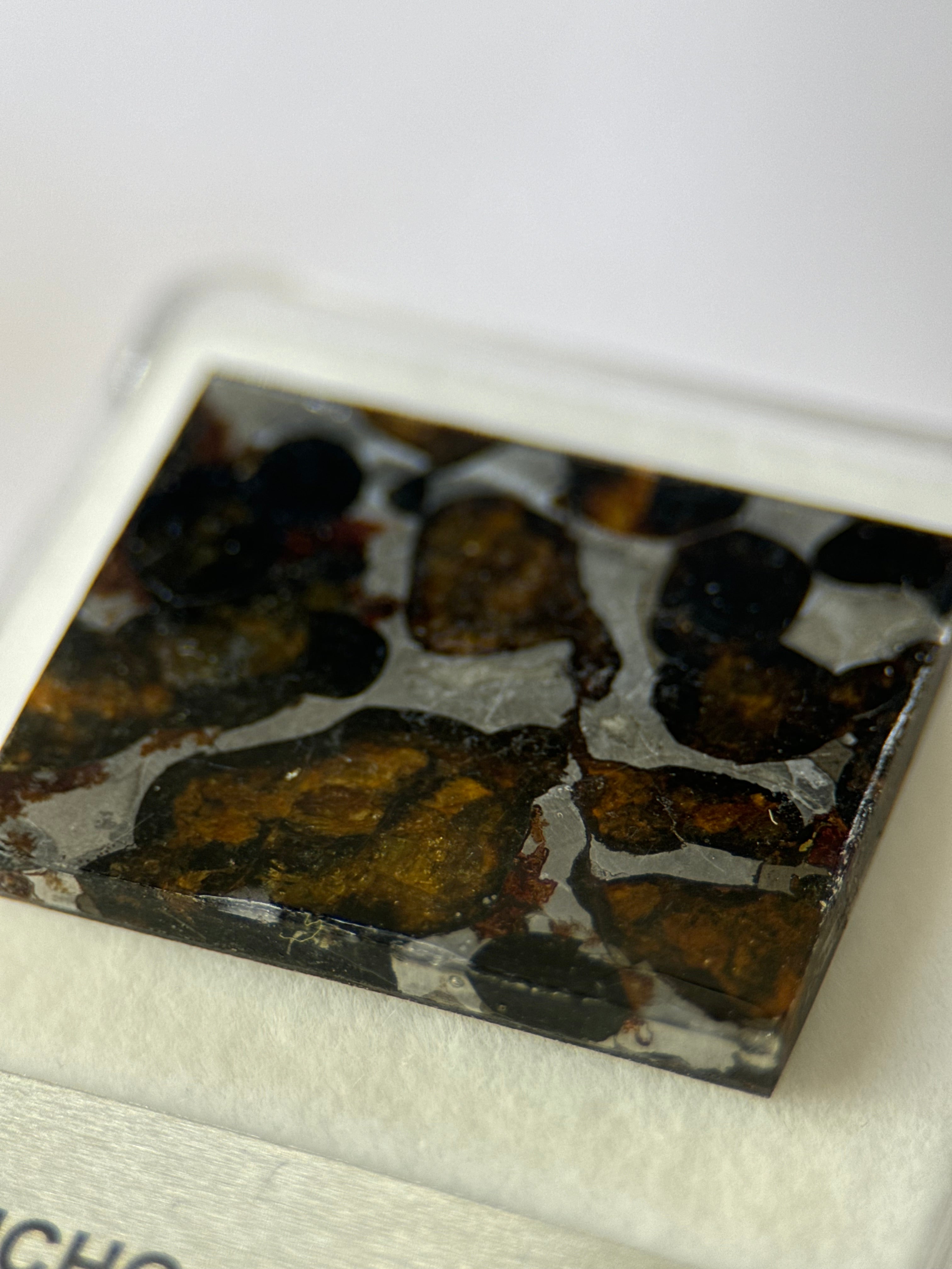 SERICHO METEORITE, KENYA. DISPLAY BOX. 4,5 GRAMS.