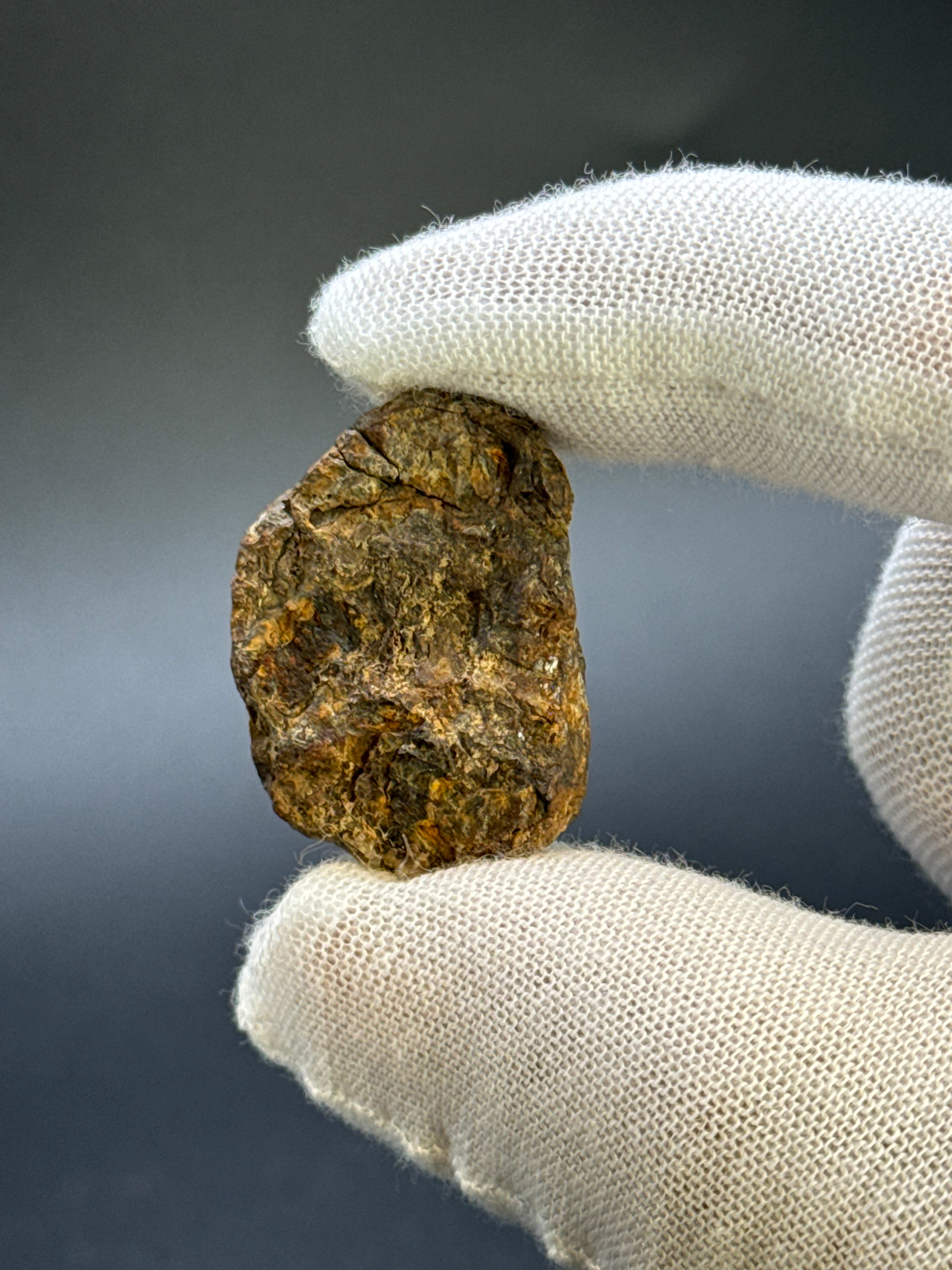SERICHO PALLASITE METEORITE, KENYA. 14,76 GRAMS END-CUT