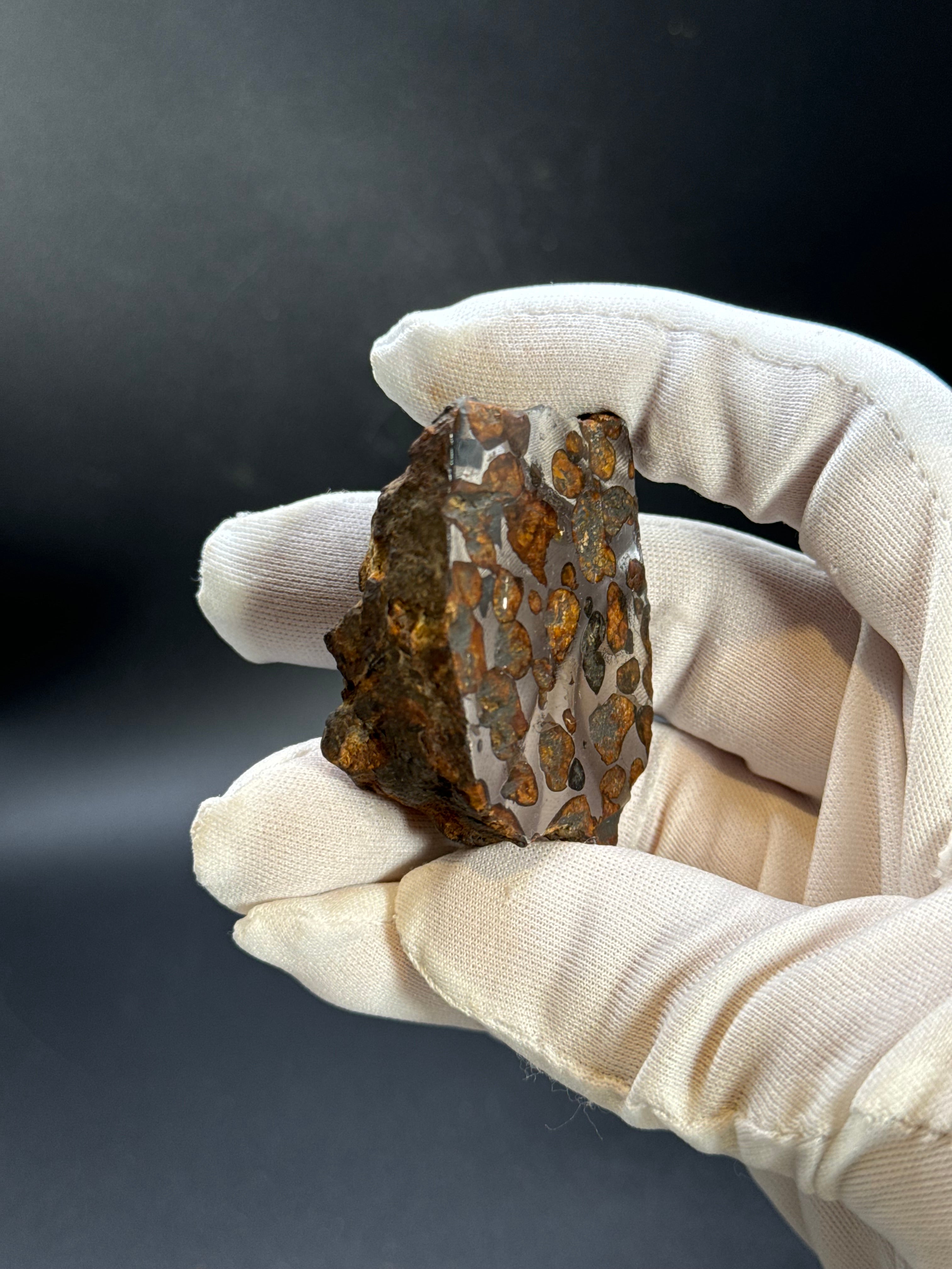 SERICHO PALLASITE METEORITE, KENYA. 92,90 GRAMS END-CUT.