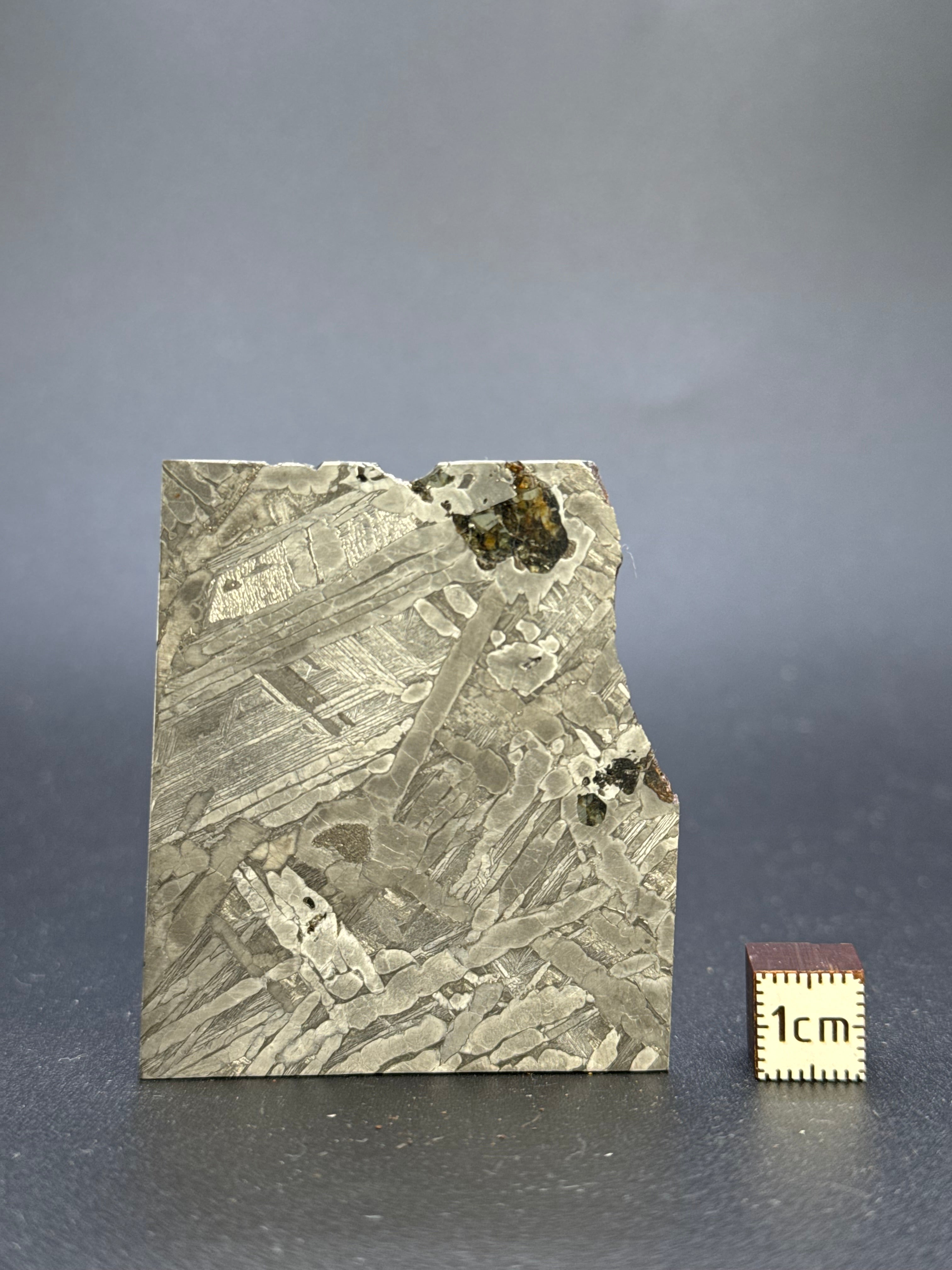 SEYMCHAN METEORITE, MAGADAN REGION, RUSSIA. 31,3 GRAMS.