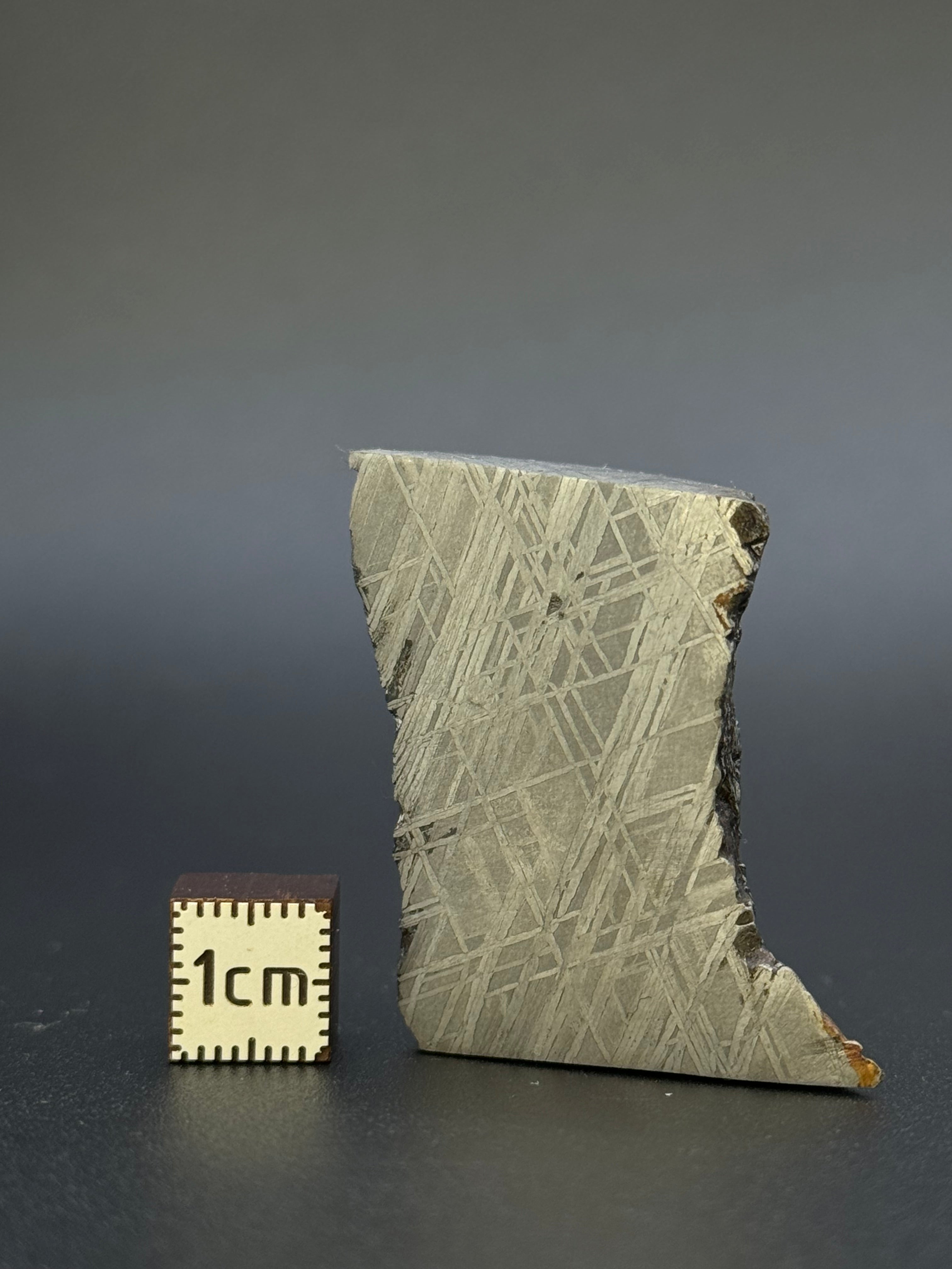 MUONIONALUSTA METEORITE, SWEDEN. 82,04 GRAMS CHUNK.