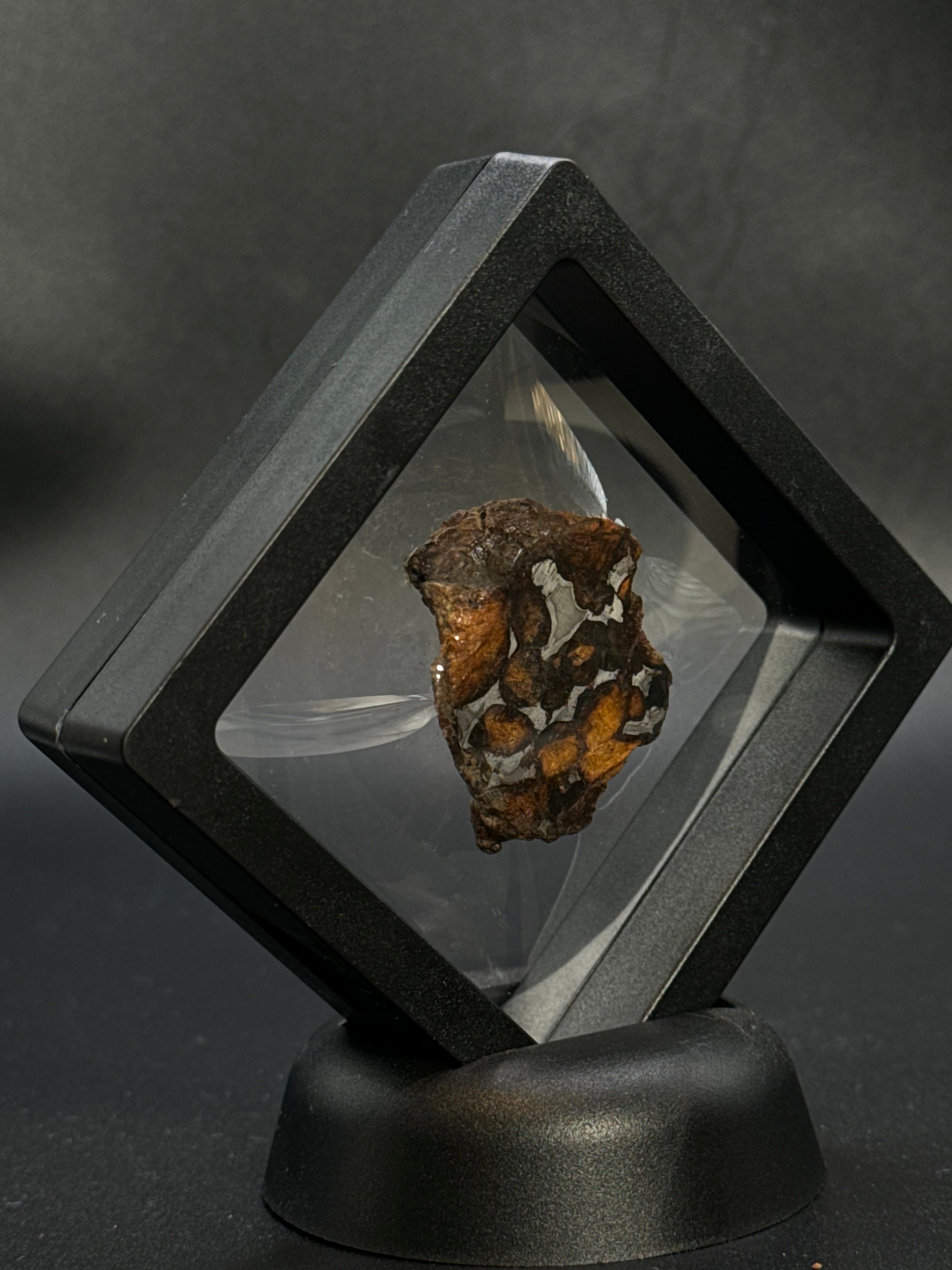 SERICHO PALLASITE METEORITE, KENYA. 17,83 GRAMS END-CUT