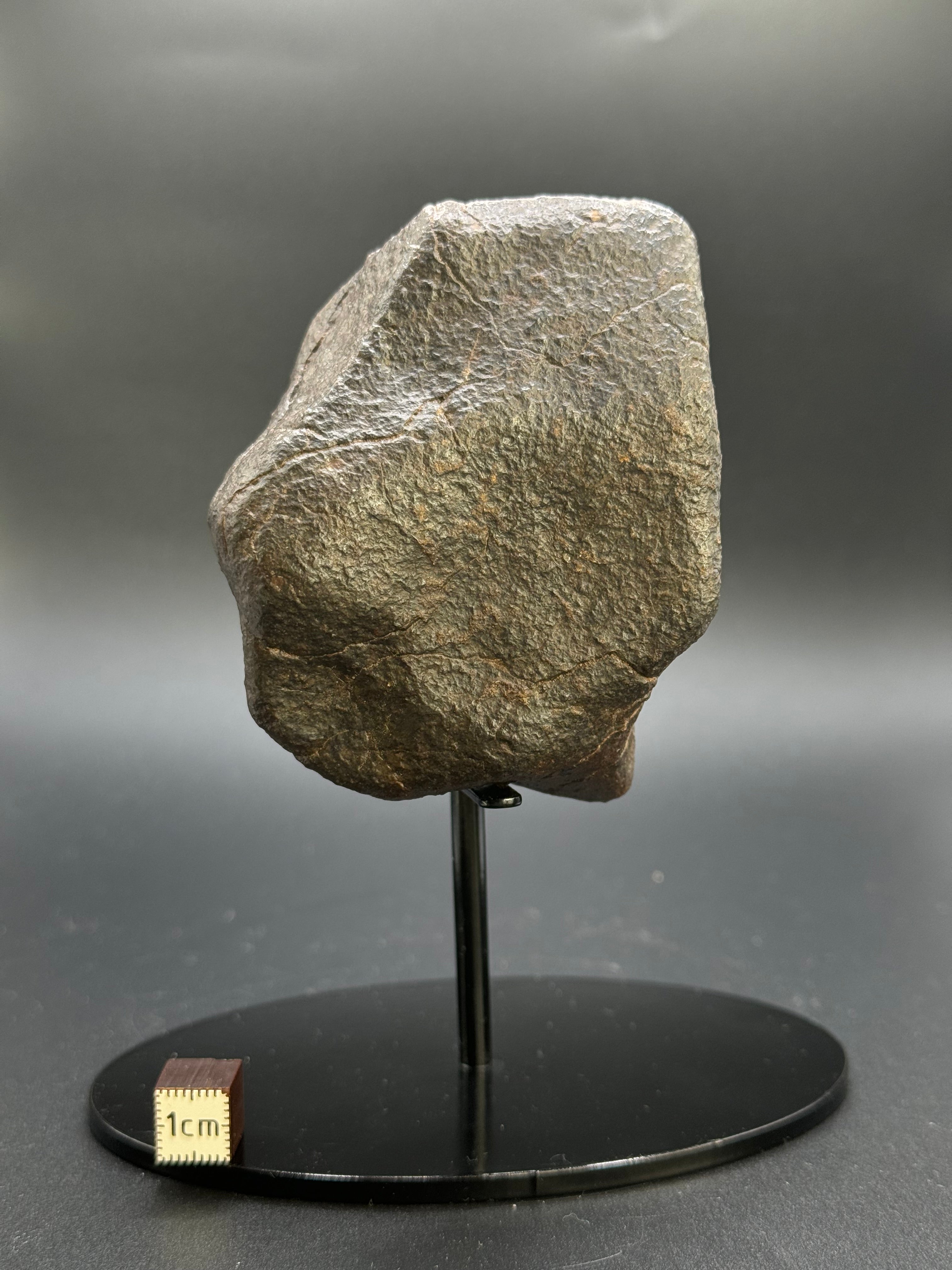 CHONDRITE METEORITE, NORTH WEST AFRICA. 306 GRAMS.