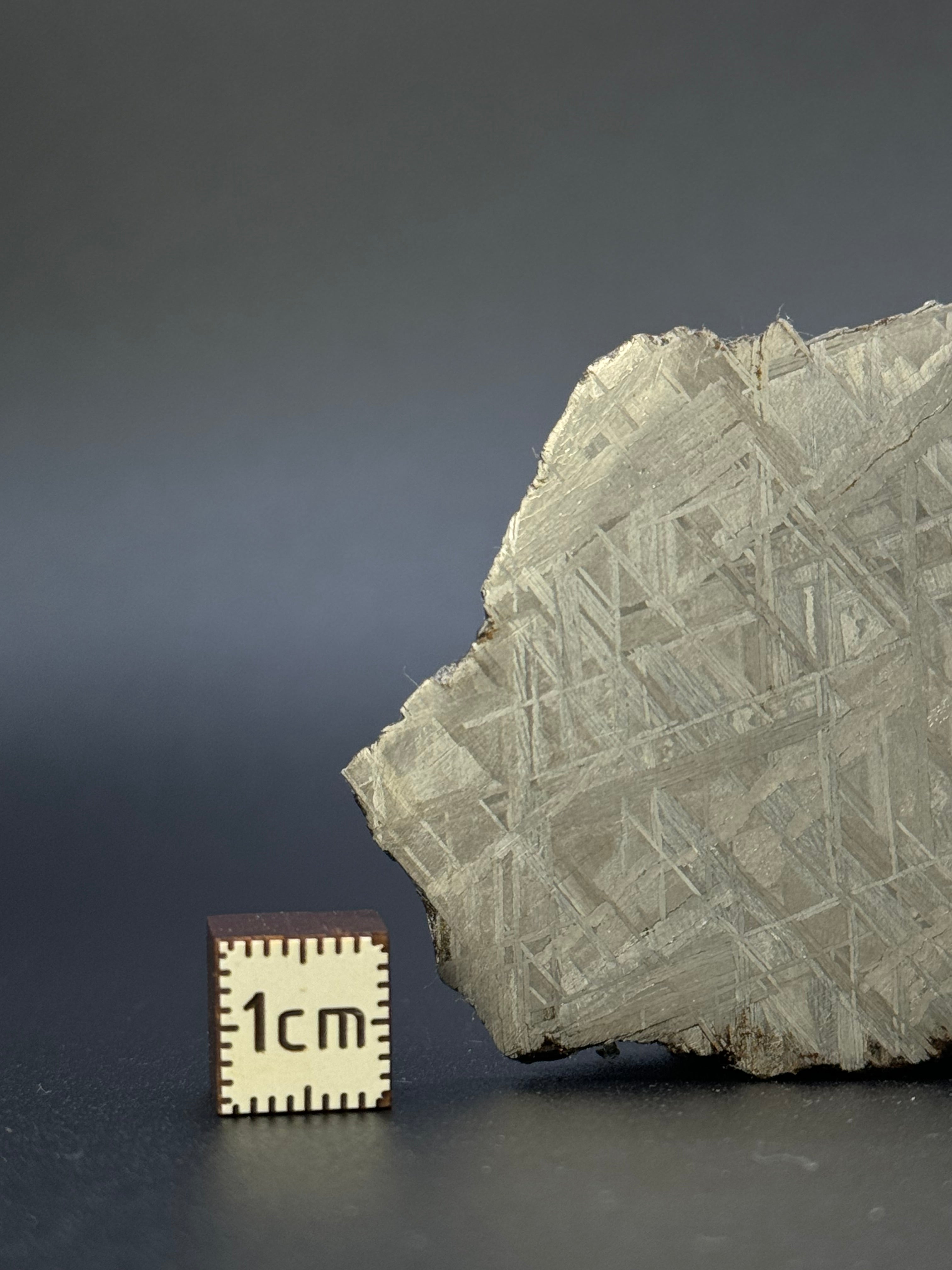 MUONIONALUSTA METEORITE, SWEDEN. 46,38 GRAMS.