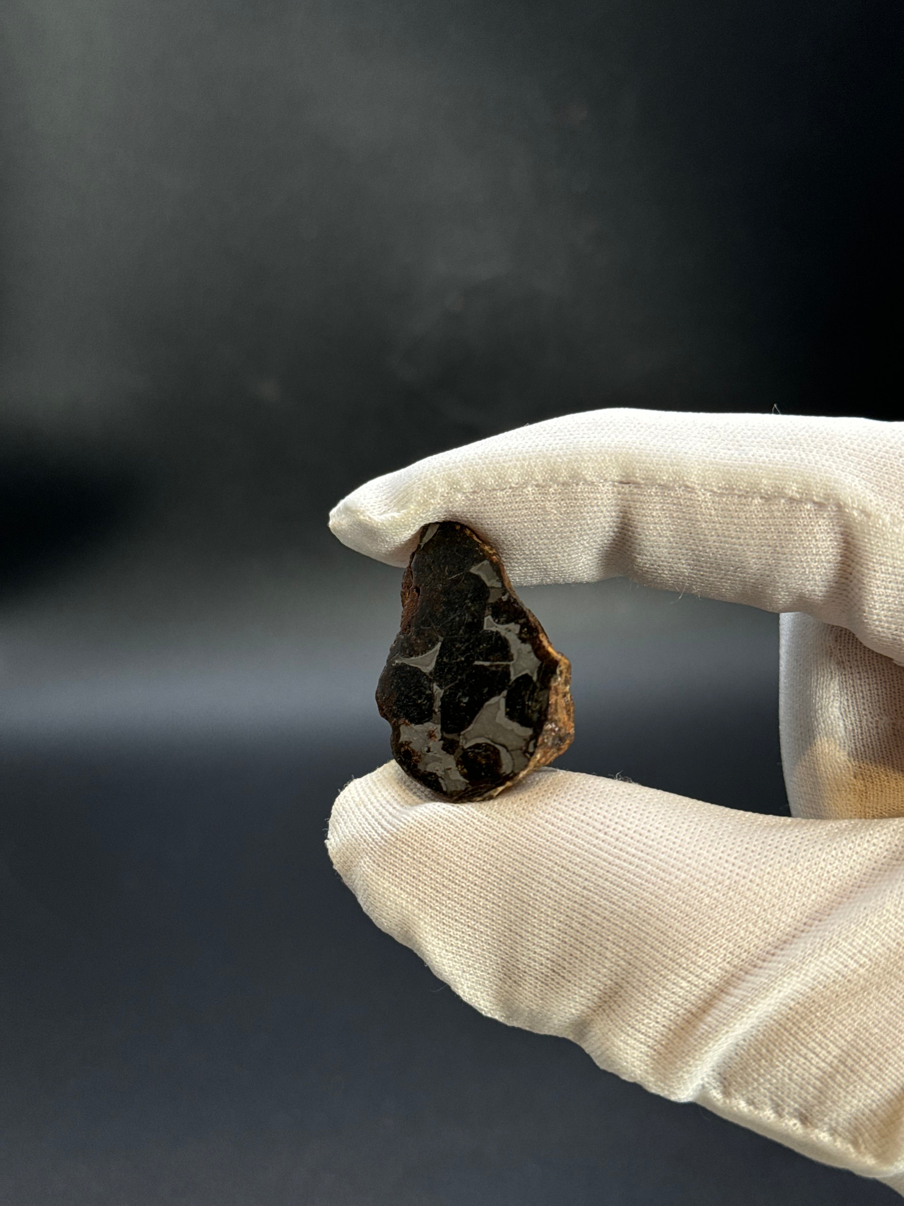 SERICHO PALLASITE METEORITE, KENYA. 12,47 GRAMS END-CUT.