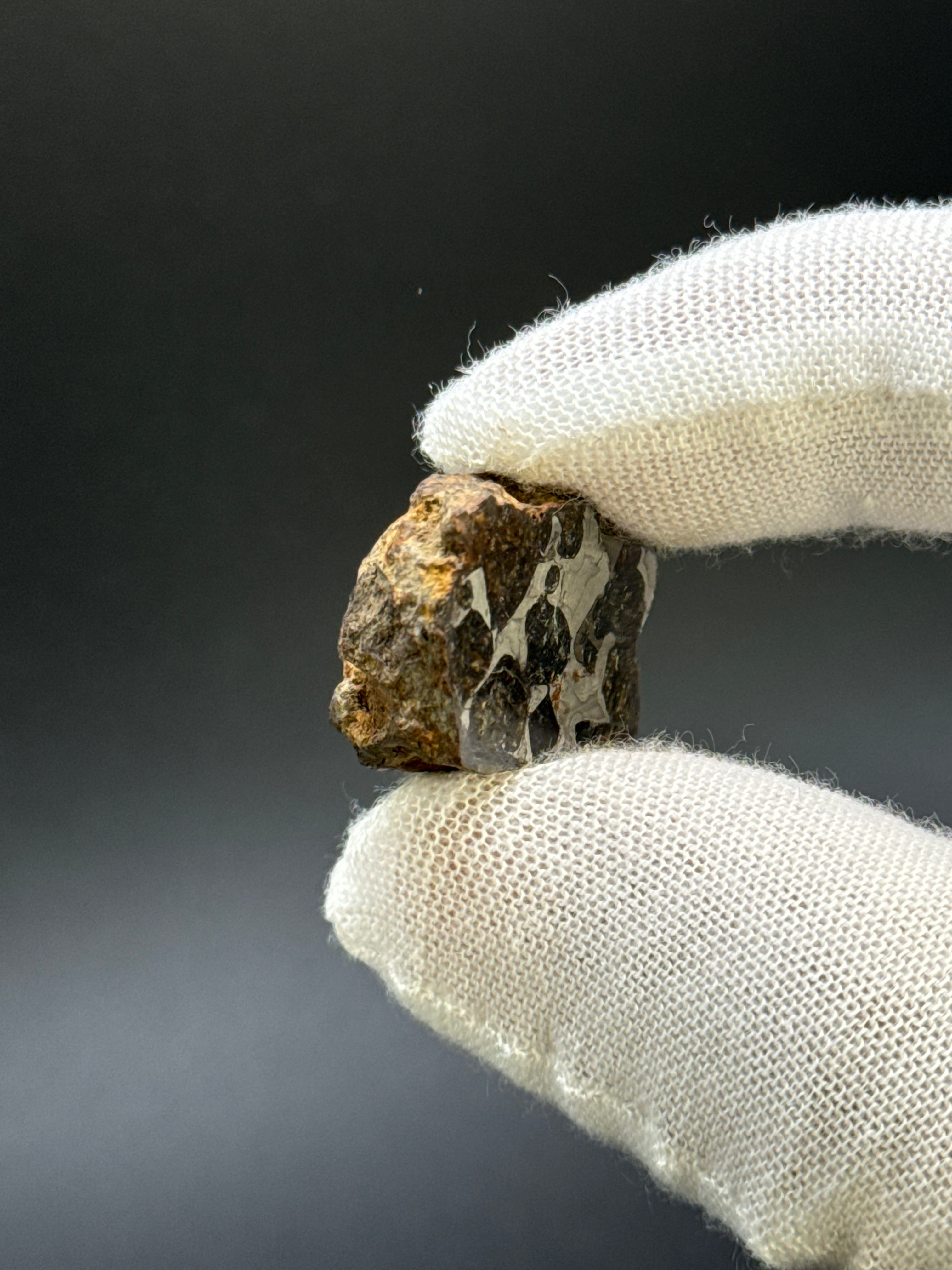 SERICHO PALLASITE METEORITE, KENYA. 13,49 GRAMS END-CUT