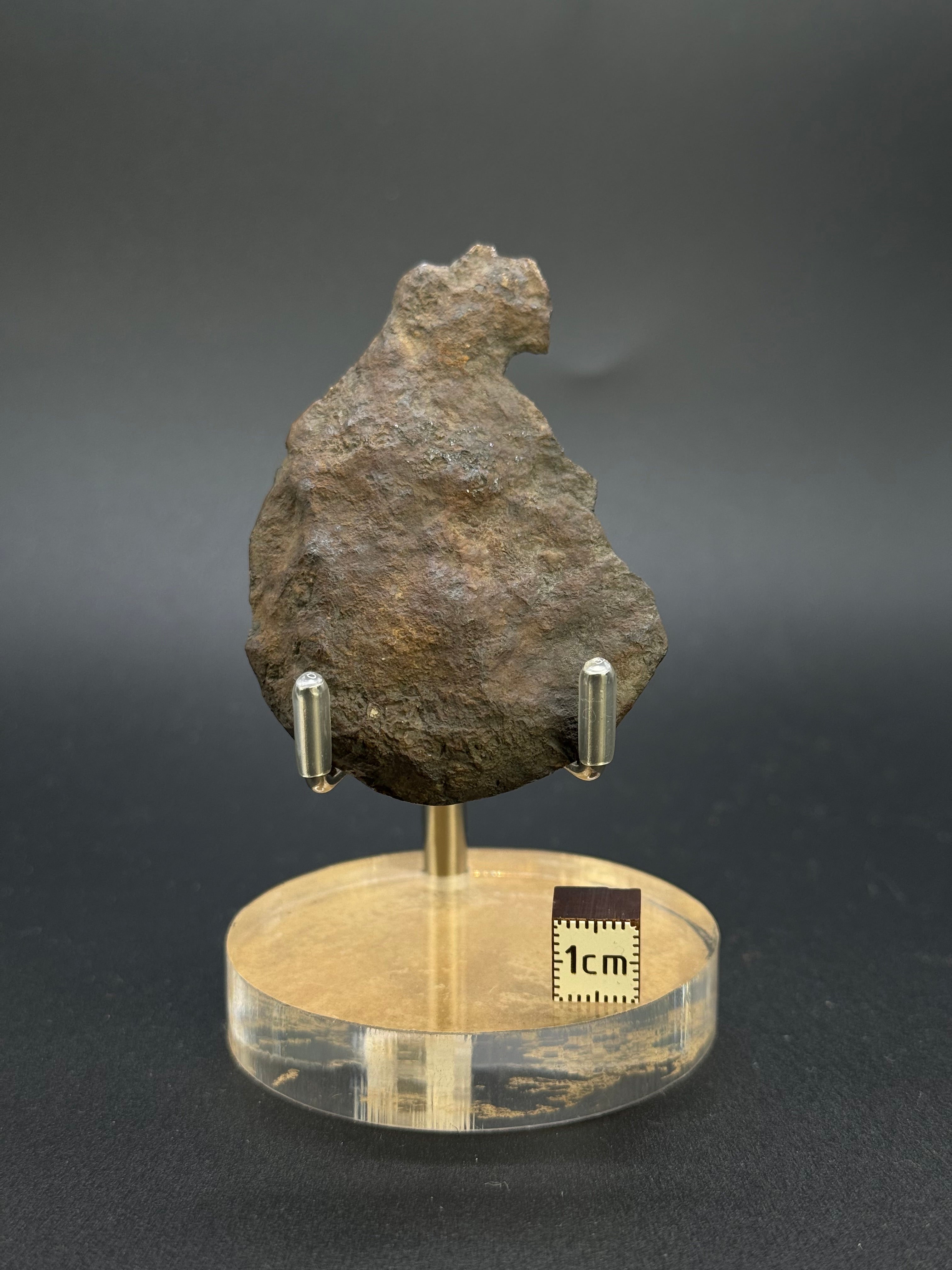 SEYMCHAN METEORITE, MAGADAN REGION, RUSSIA. End-cut 40,3 GRAMS.