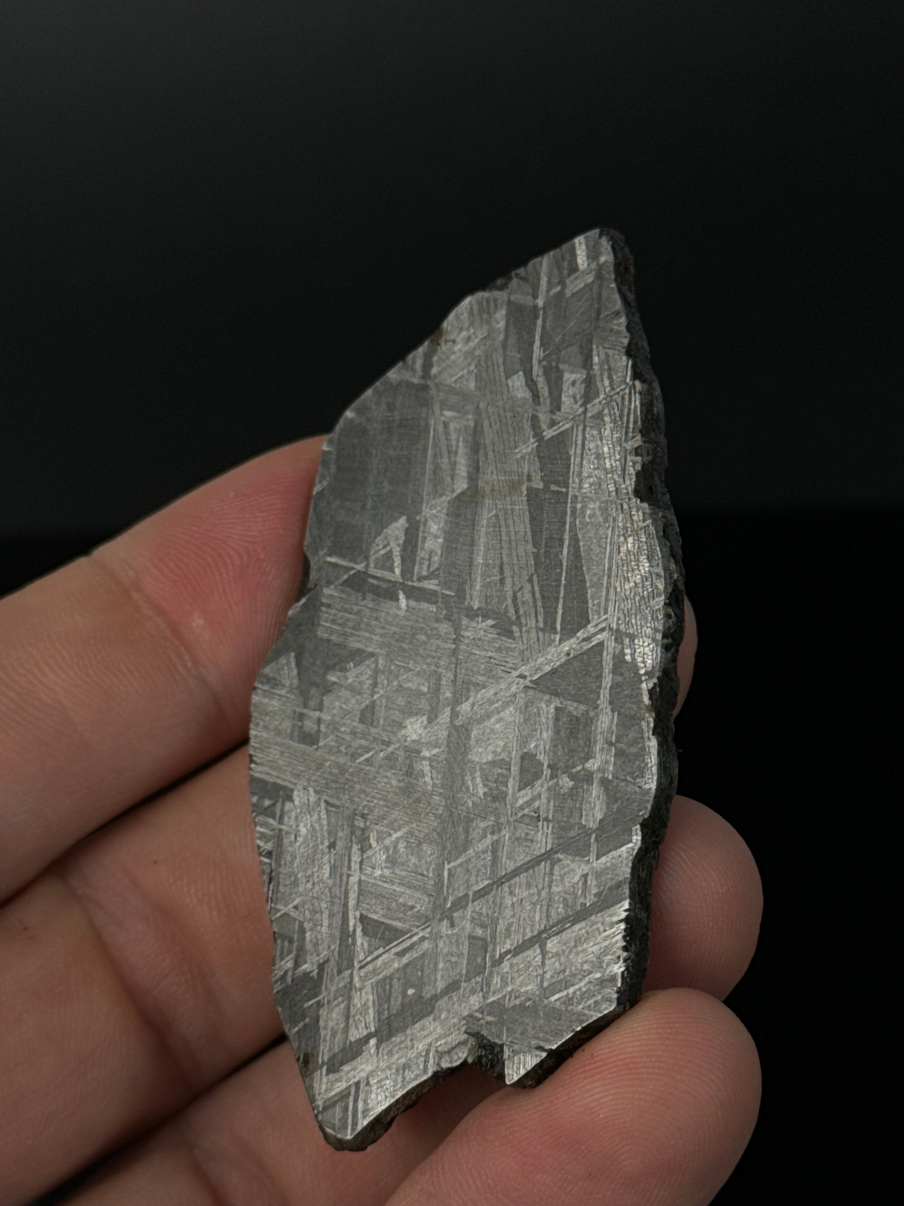 MUONIONALUSTA METEORITE, SWEDEN 49,32 GRAMS.