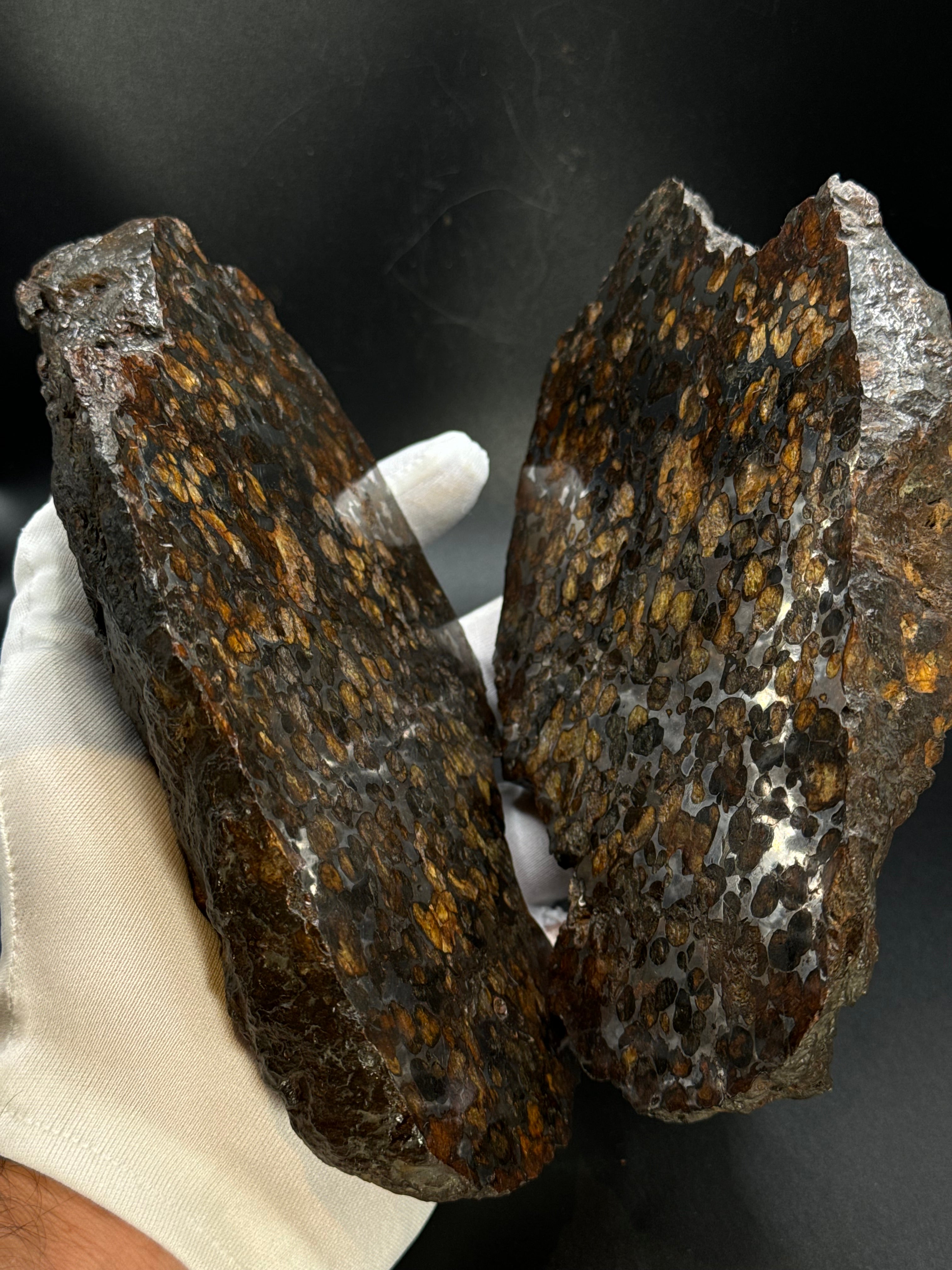 Full Sericho meteorite from Kenya, in two halves. Total weight: 3,057 grams.