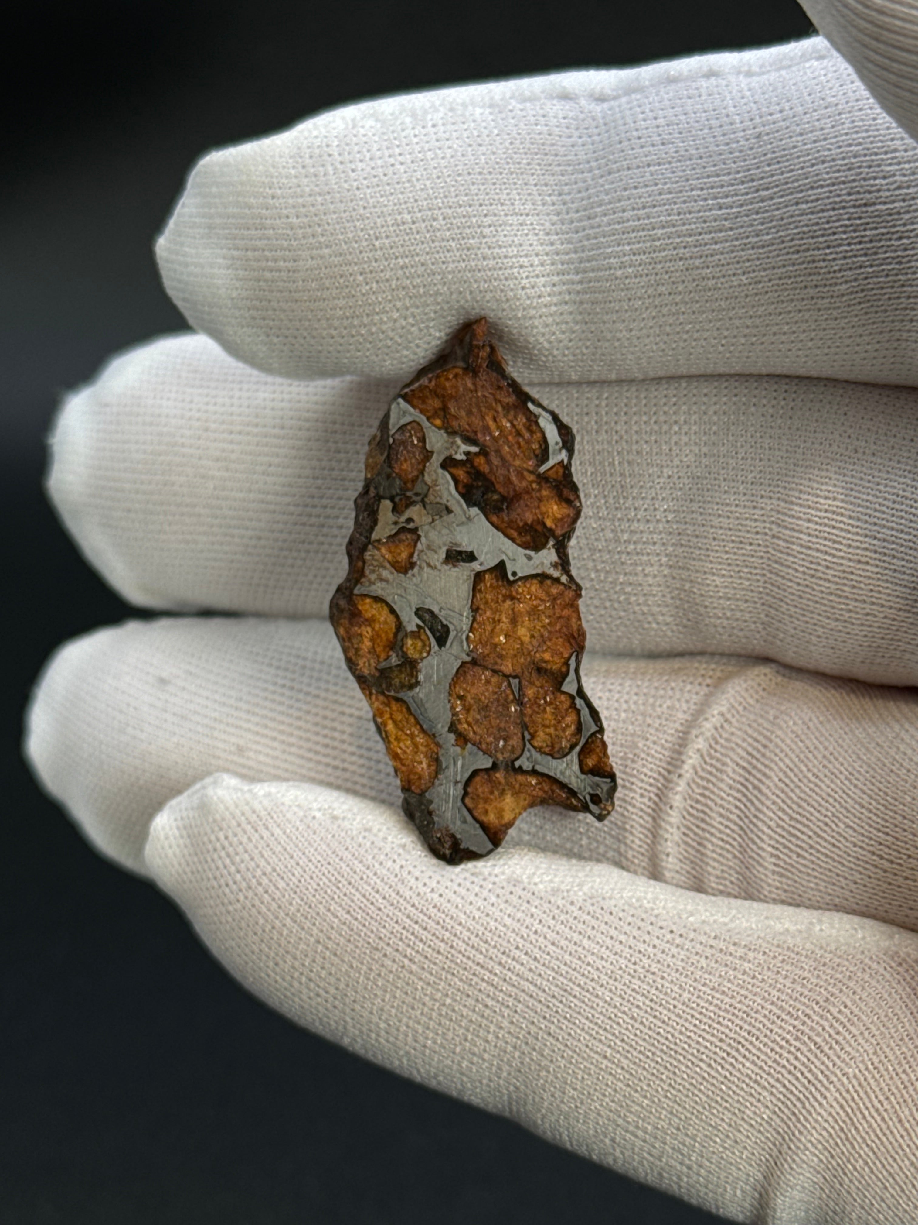 SERICHO PALLASITE METEORITE, KENYA. 7,37 GRAMS END-CUT