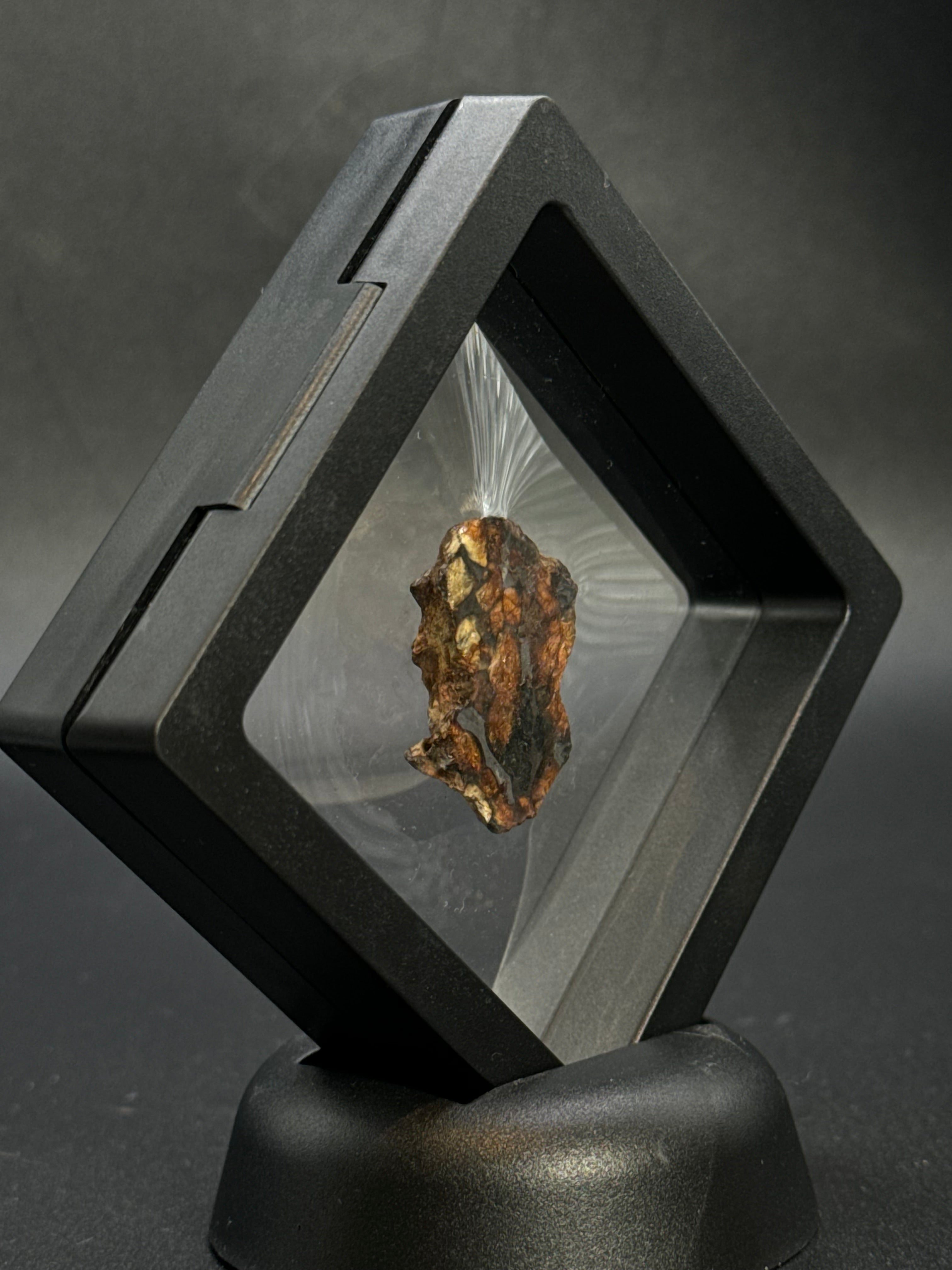 SERICHO PALLASITE METEORITE, KENYA. 7,7 GRAMS END-CUT