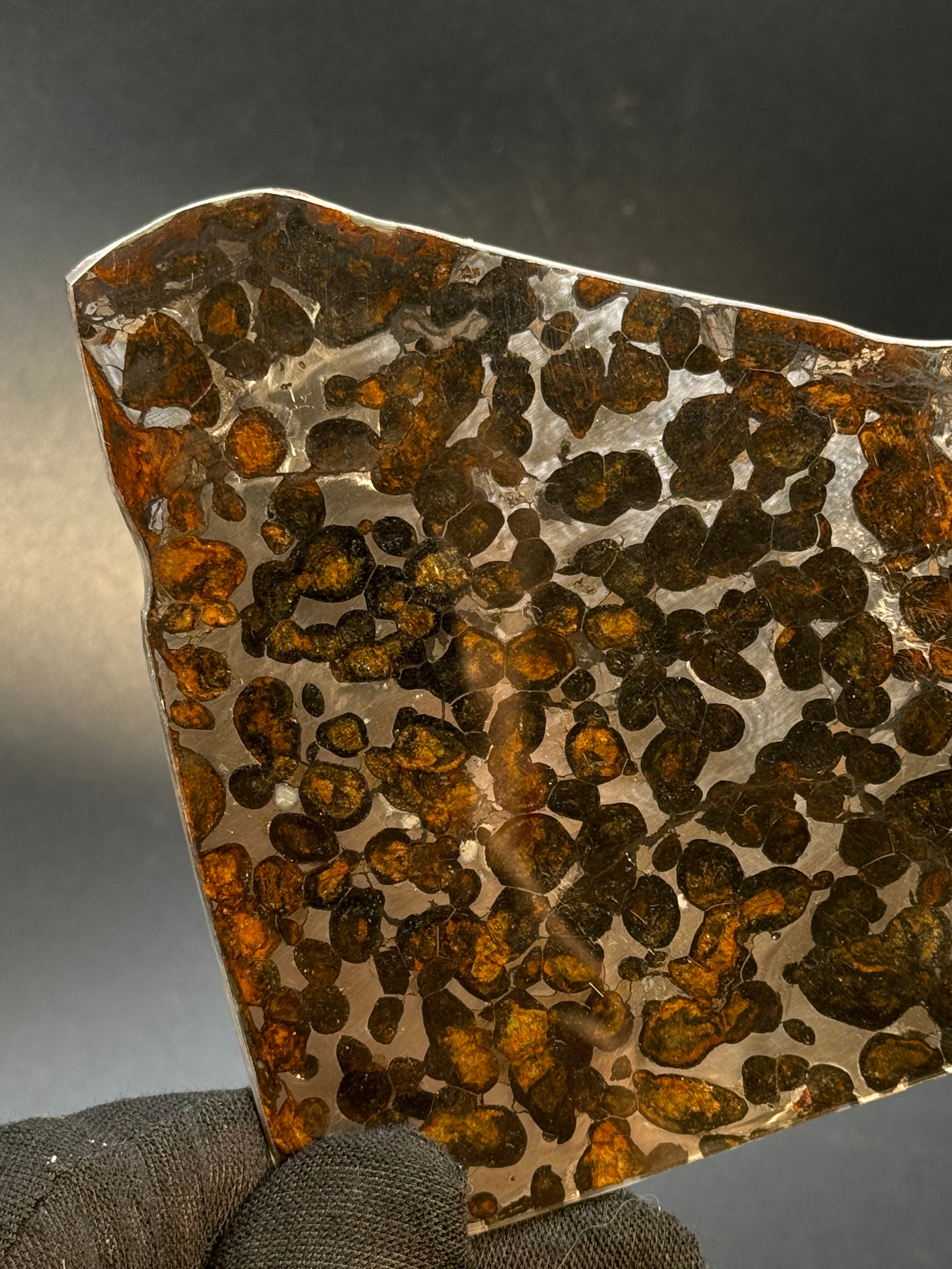 SERICHO METEORITE, KENYA. 65 GRAMS SLICE