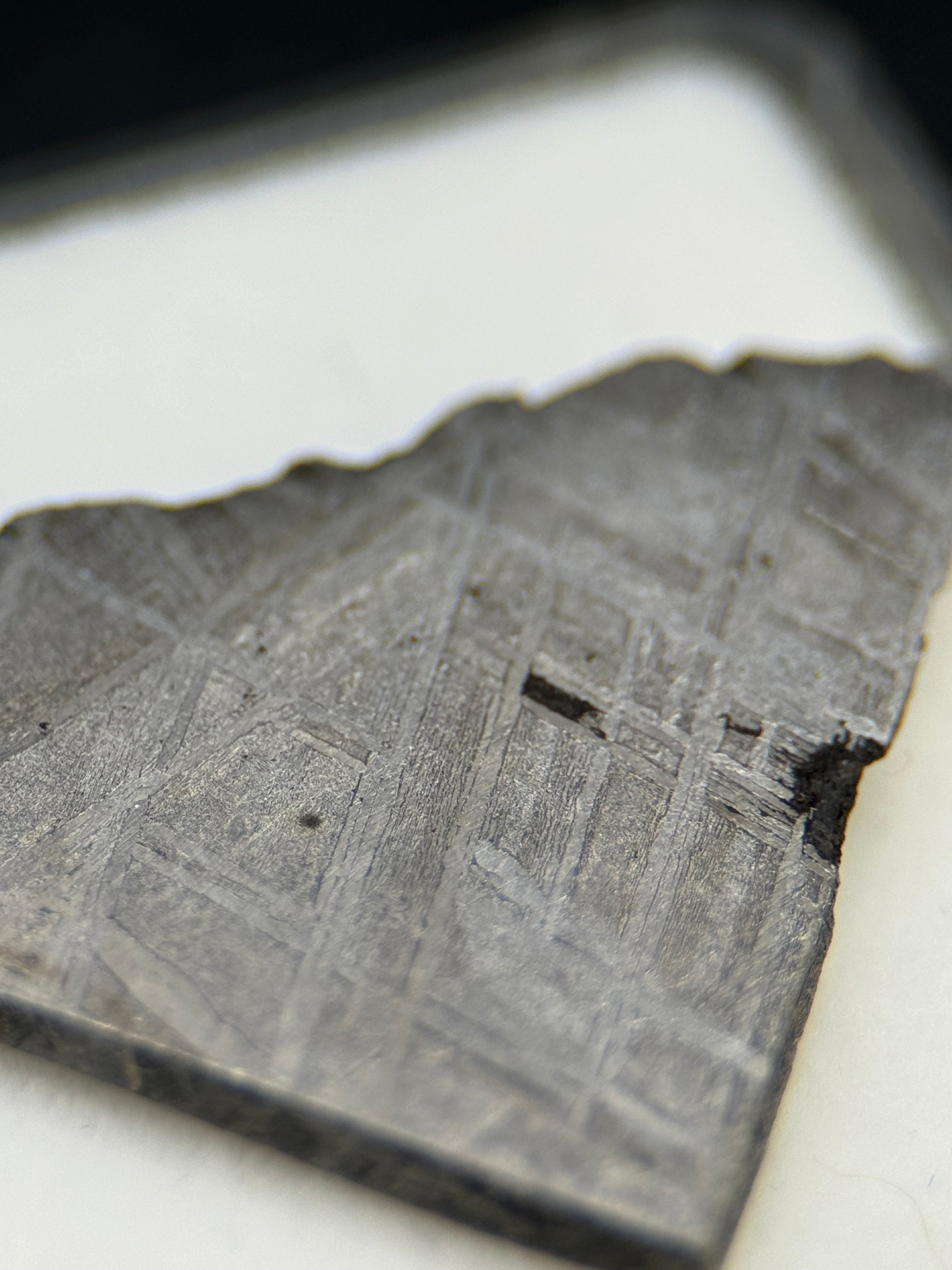 MUONIONALUSTA METEORITE, SWEDEN. DISPLAY BOX.