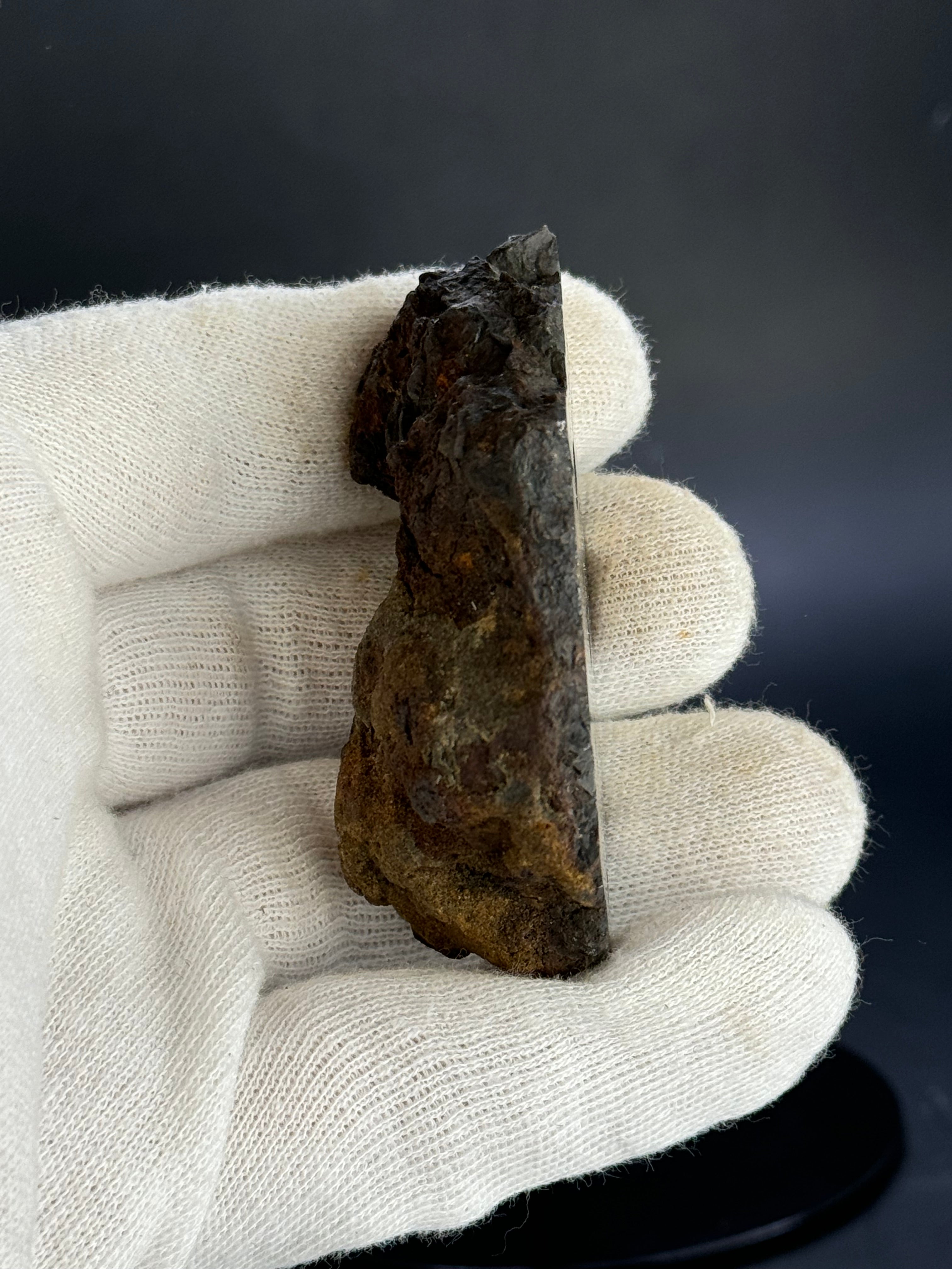 SERICHO PALLASITE METEORITE, KENYA. 143,41 GRAMS END-CUT.