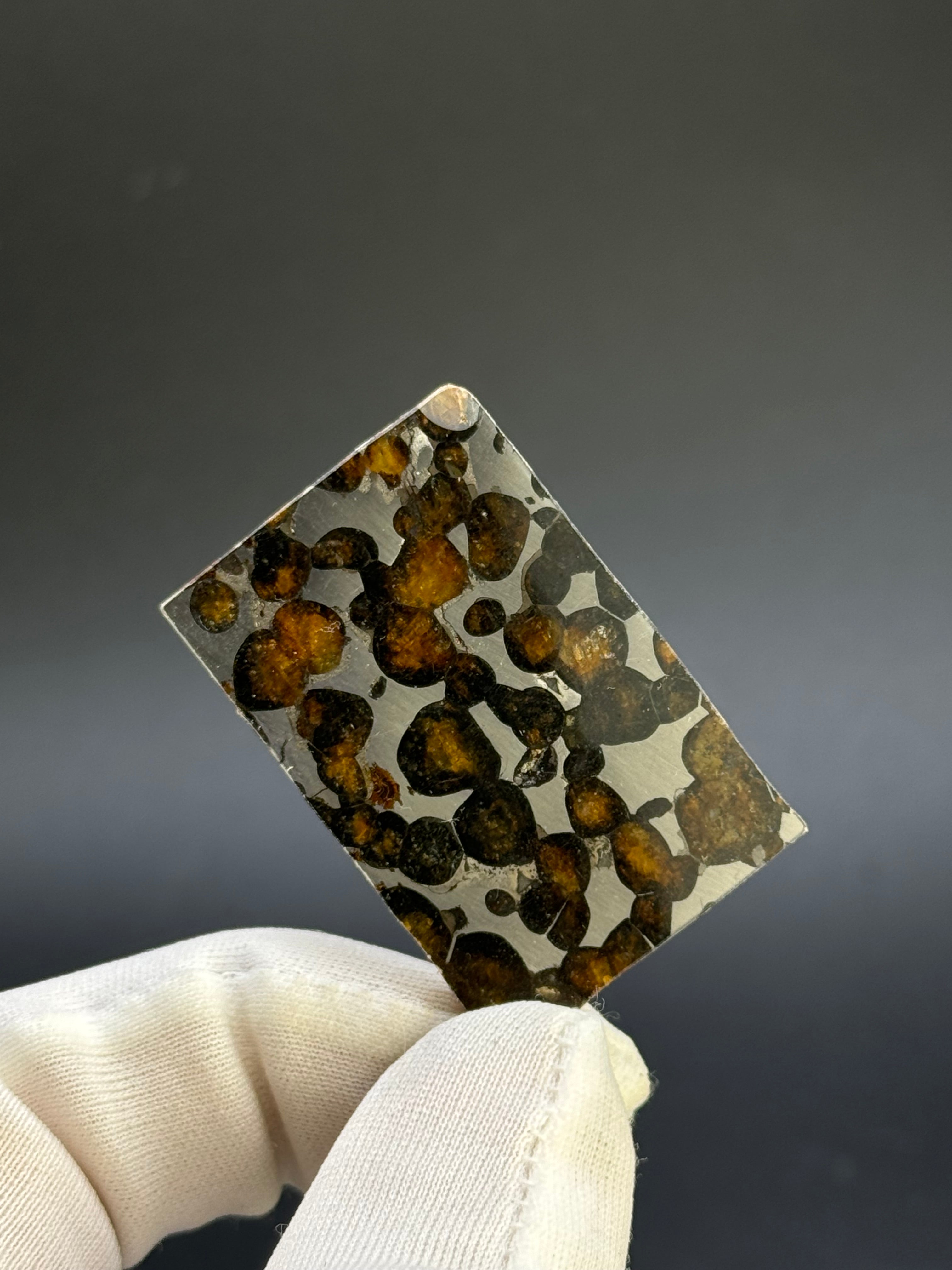 SERICHO METEORITE, KENYA. 9,02 GRAMS SLICE