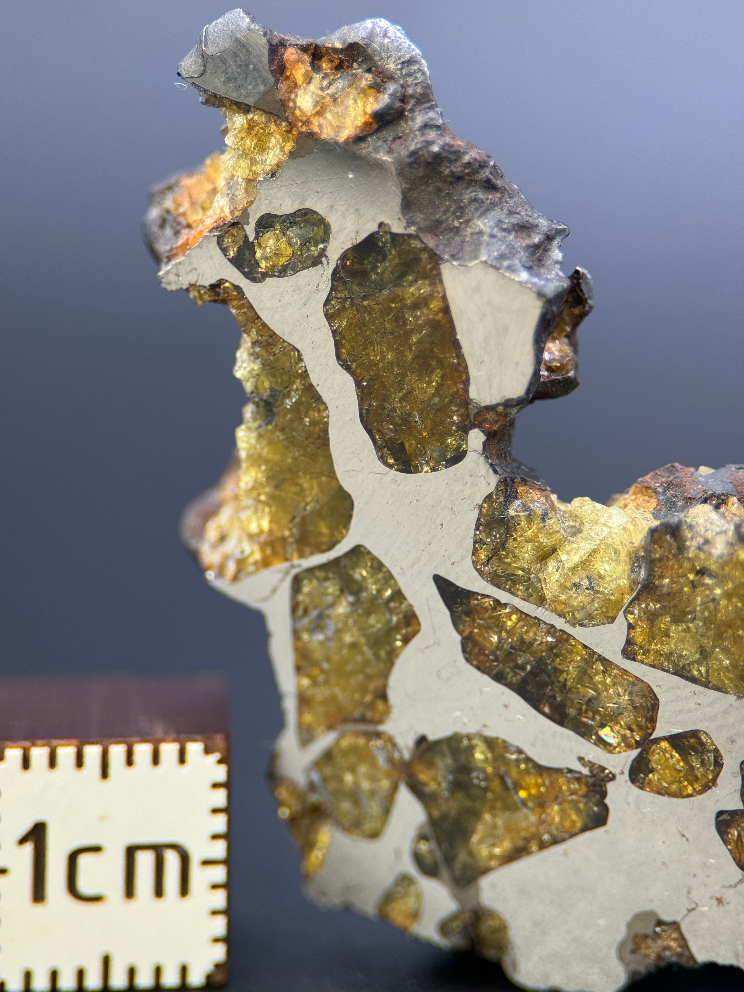 IMILAC PALLASITE METEORITE, END CUT, CHILE. 25,2 GRAMS.