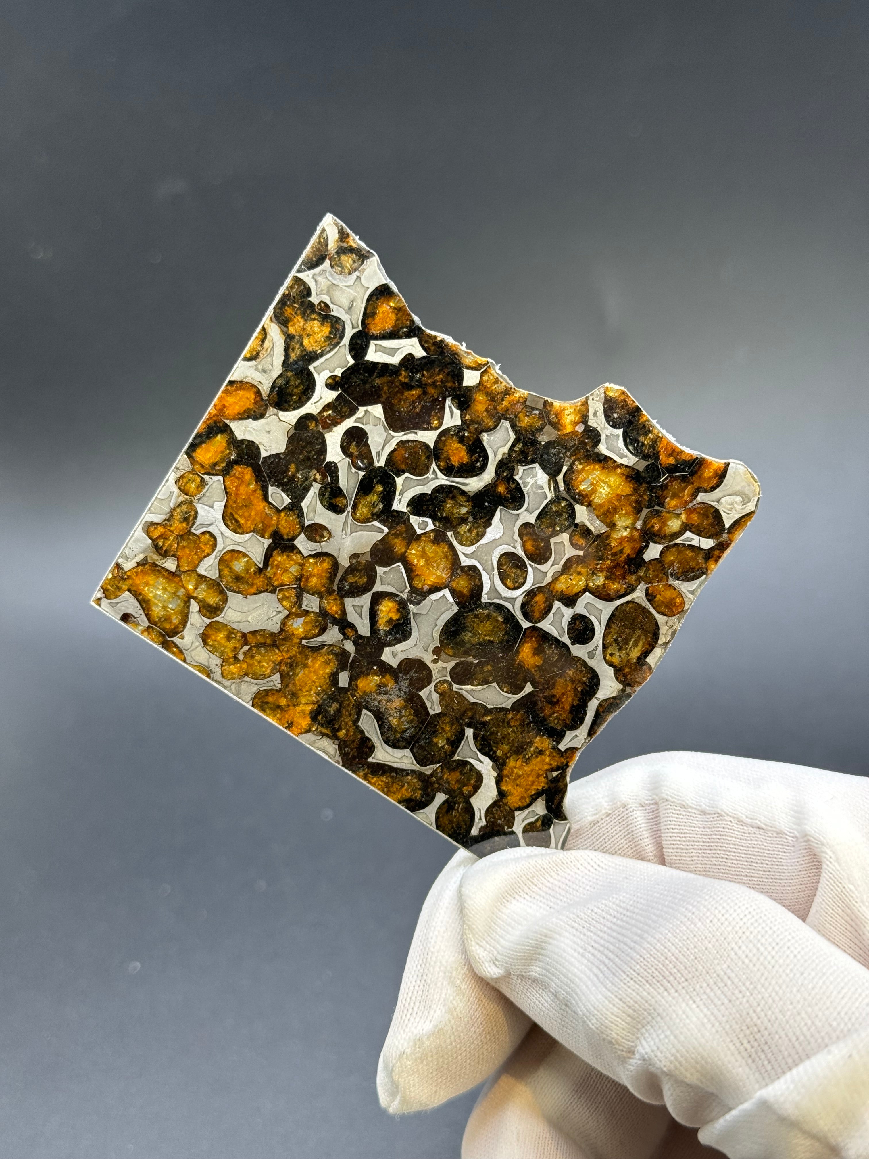 SERICHO METEORITE, KENYA. 20,8 GRAMS SLICE