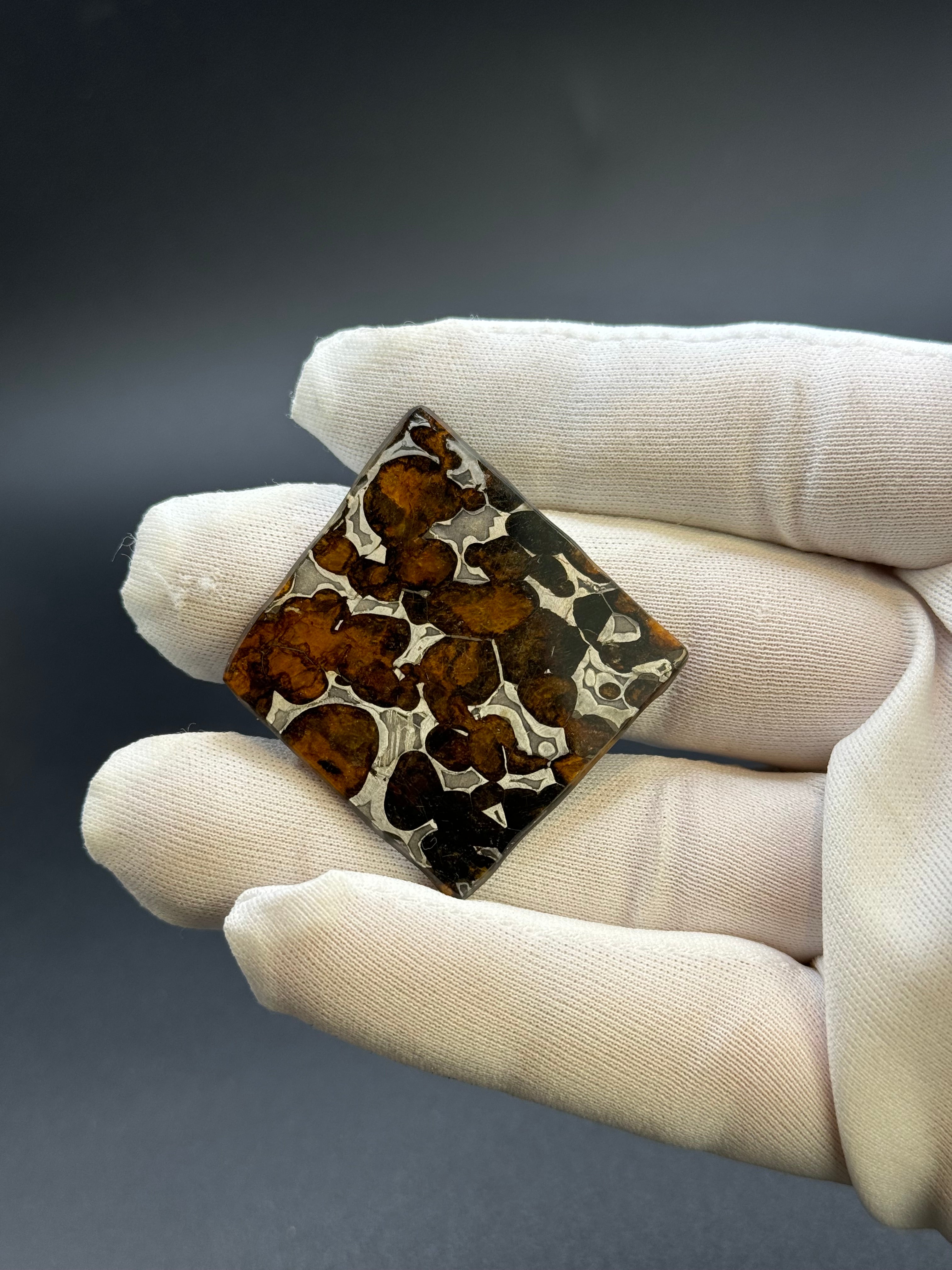 SERICHO METEORITE, KENYA. 9,38 GRAMS SLICE