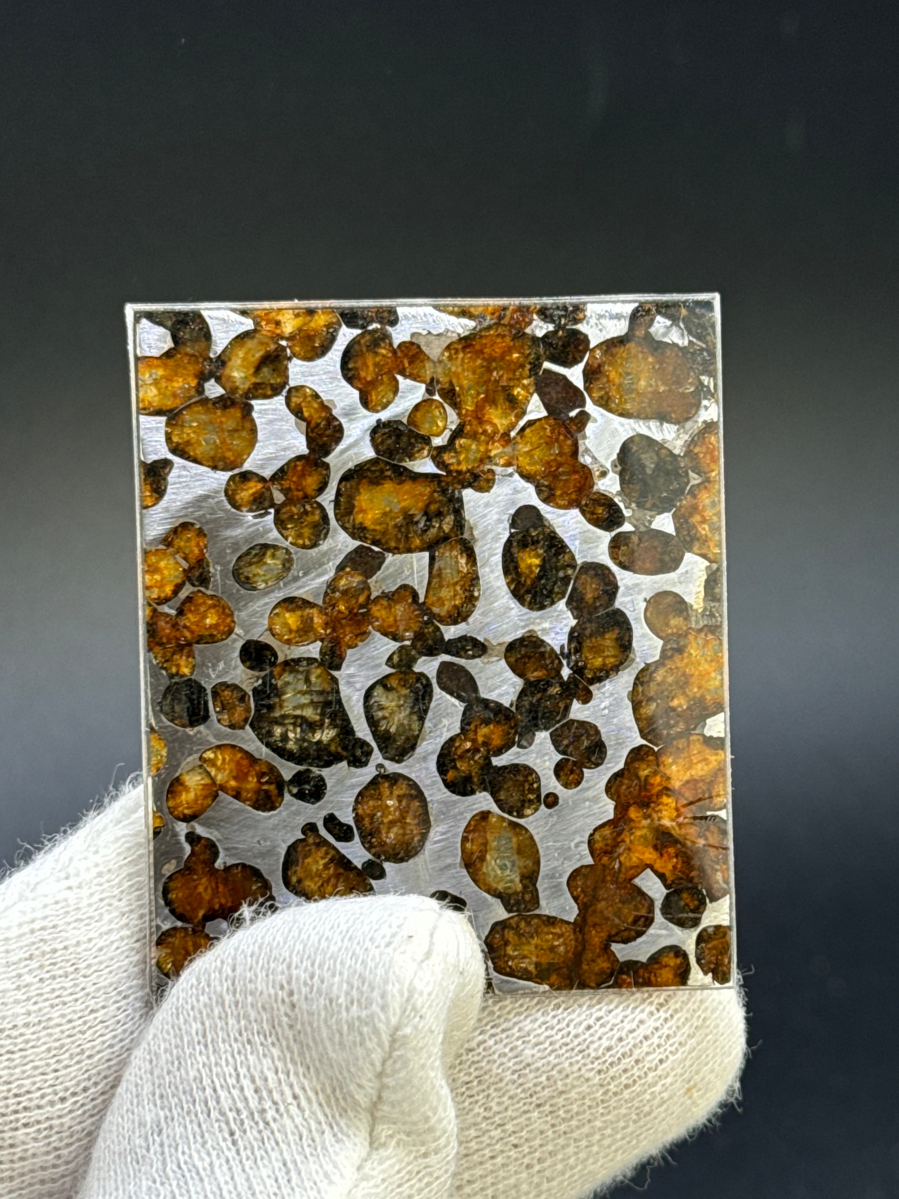 SERICHO METEORITE, KENYA. 13,5 GRAMS.
