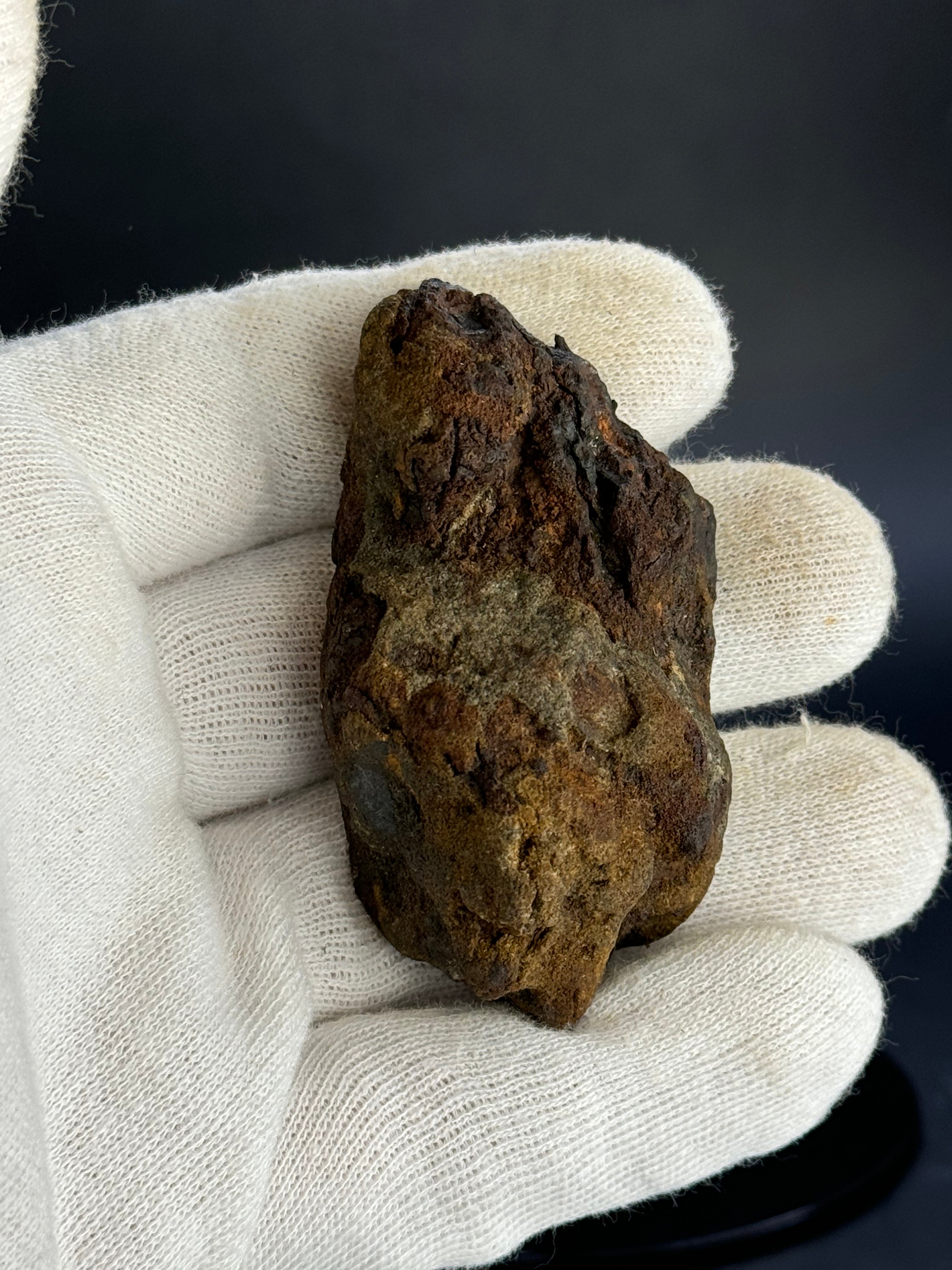 SERICHO PALLASITE METEORITE, KENYA. 143,41 GRAMS END-CUT.