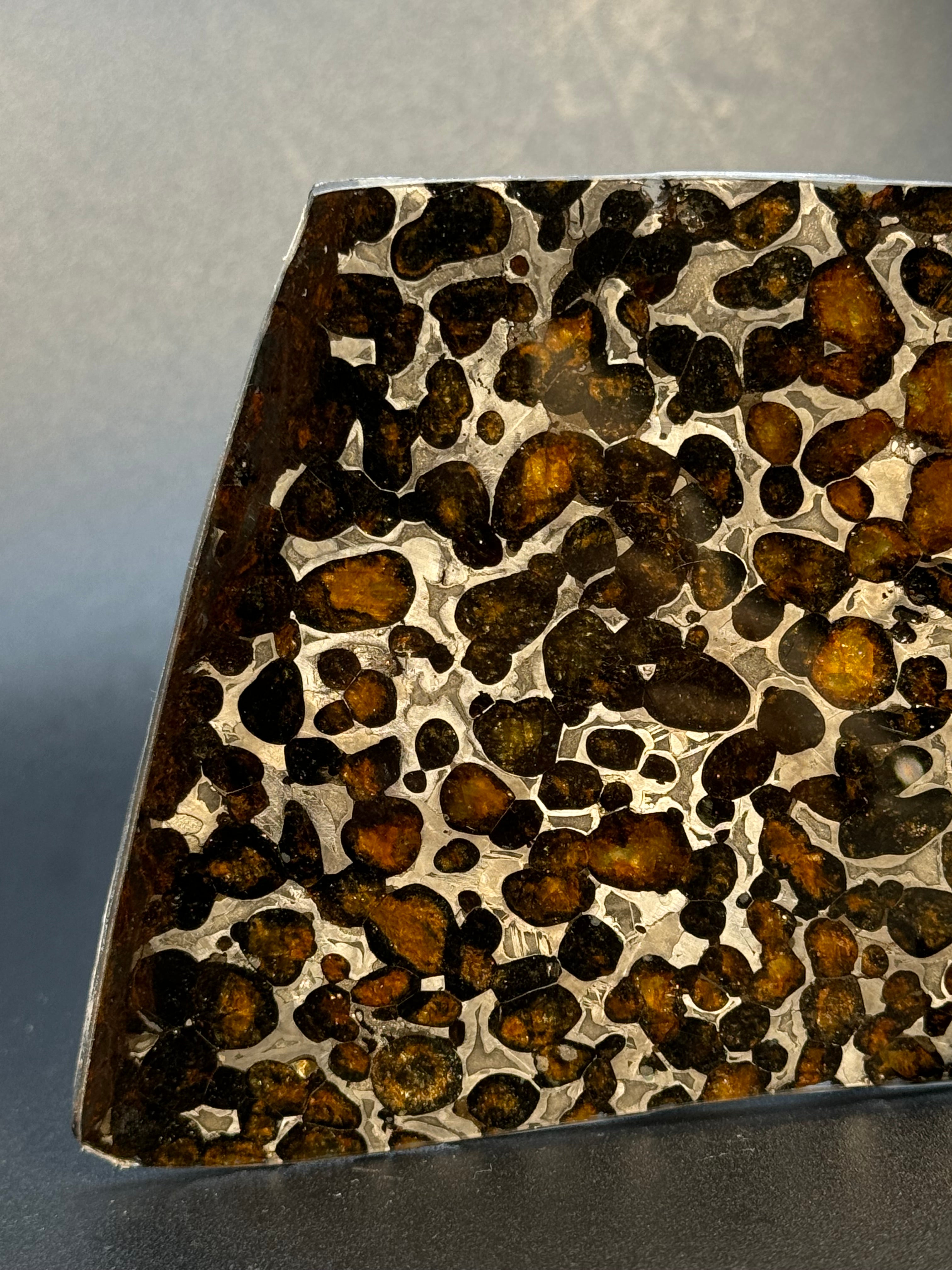SERICHO METEORITE, KENYA. 58 GRAMS SLICE